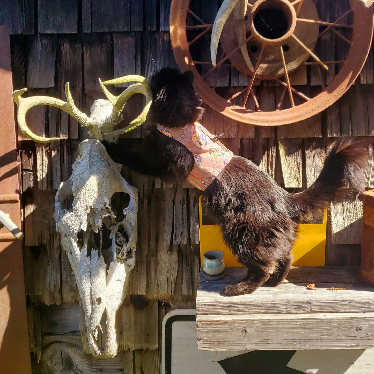 LE Walking Vest-walking vest-Sturdi Products-Sturdi Products