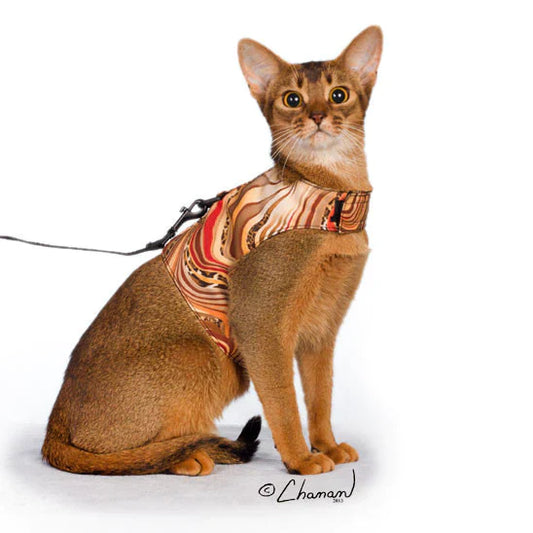 LE Walking Vest-walking vest-Sturdi Products-Sturdi Products