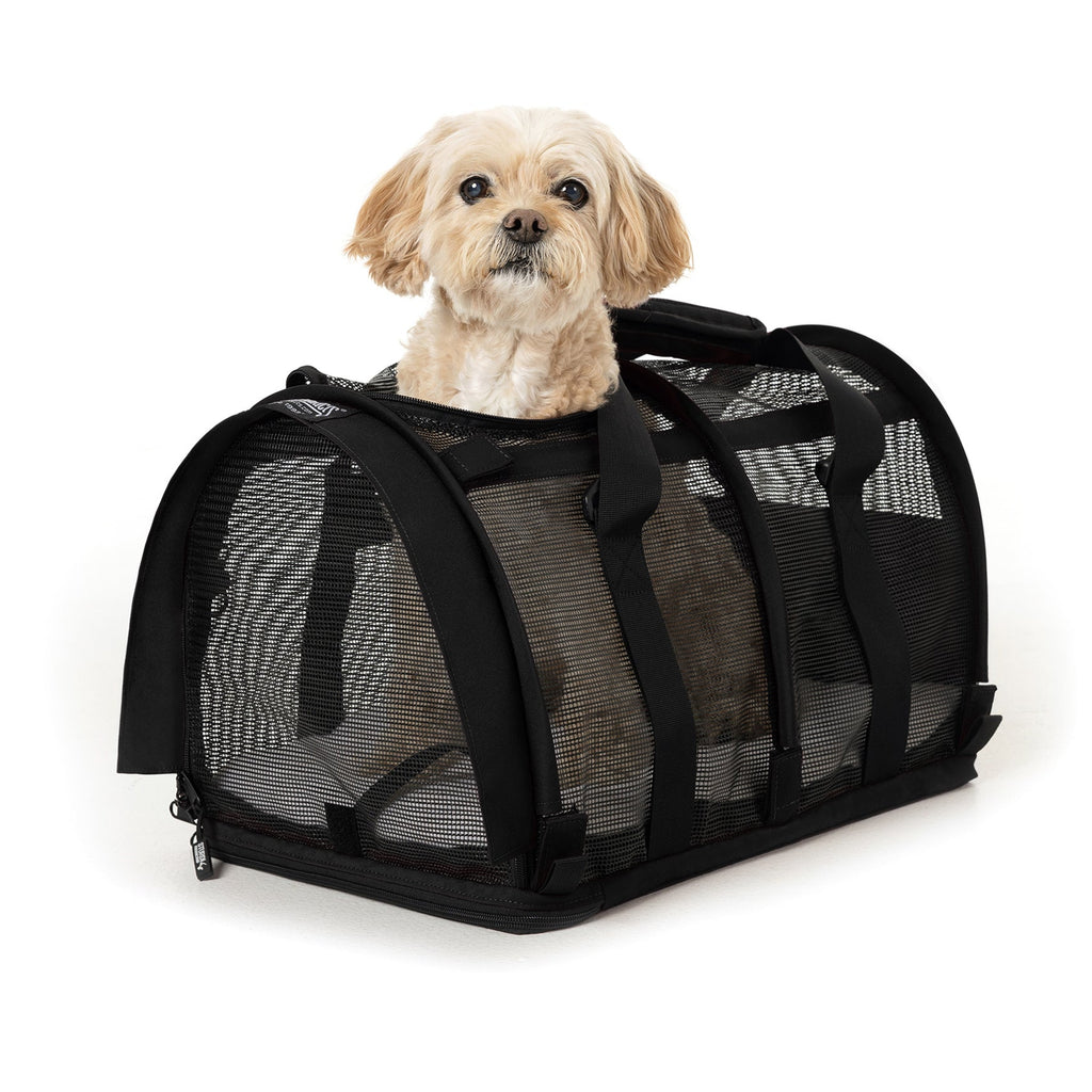 Small tan dog peeking from a black, all-mesh SturdiBag pet carrier with top opening.