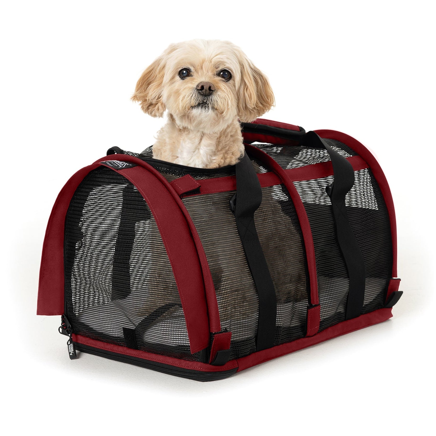 Red SturdiBag All Mesh Pet Carrier with a small tan dog peeking out, showing breathable mesh and soft sides.
