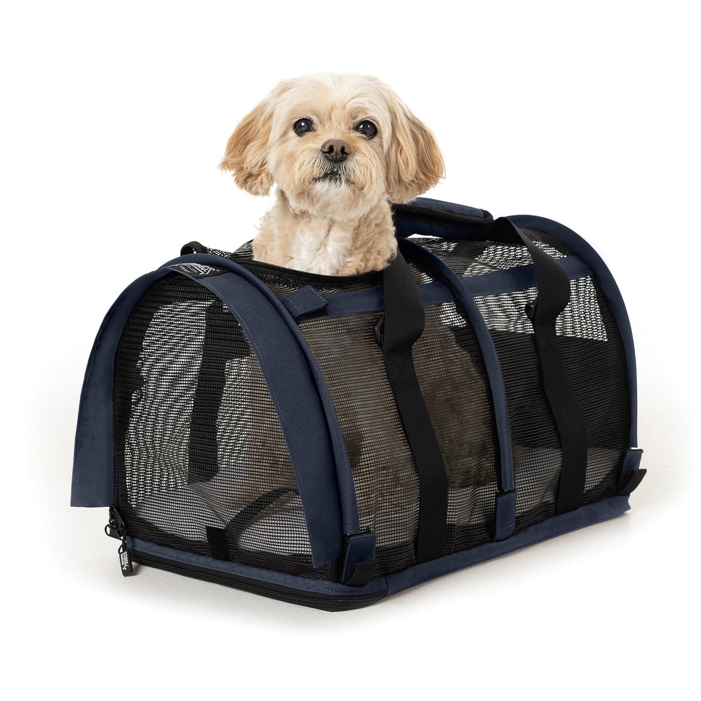 Small tan dog peeking from a navy blue, all-mesh SturdiBag pet carrier with black straps.