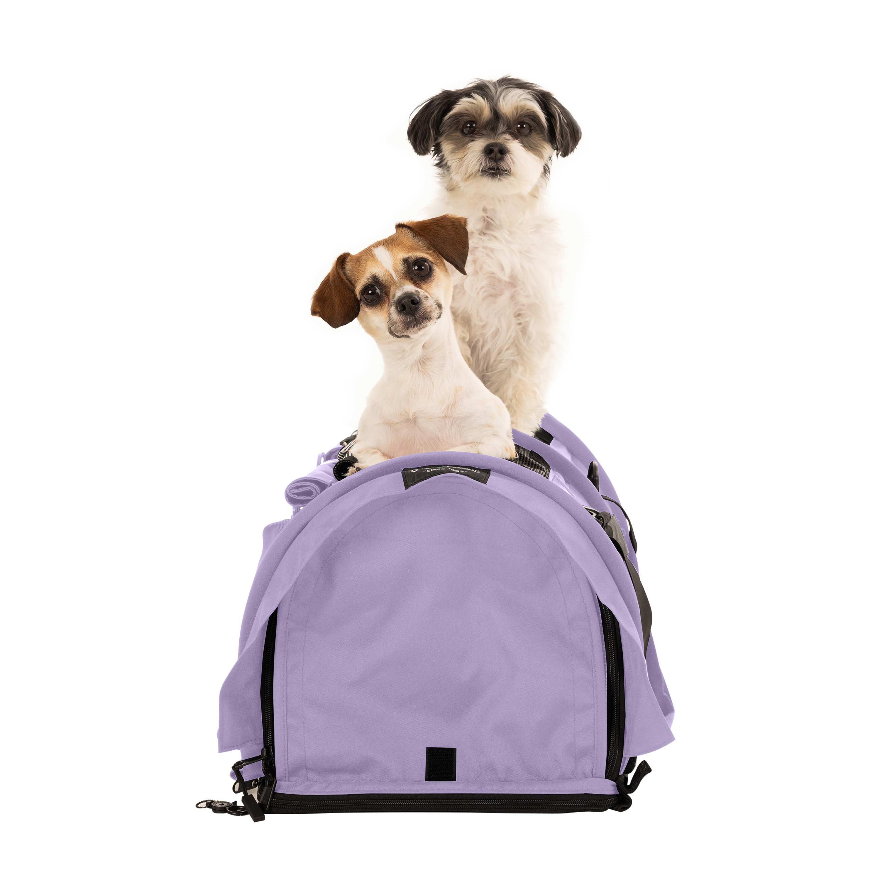 Two small dogs sit on a lavender SturdiBag Pro 2.0 divided pet carrier with mesh panels.