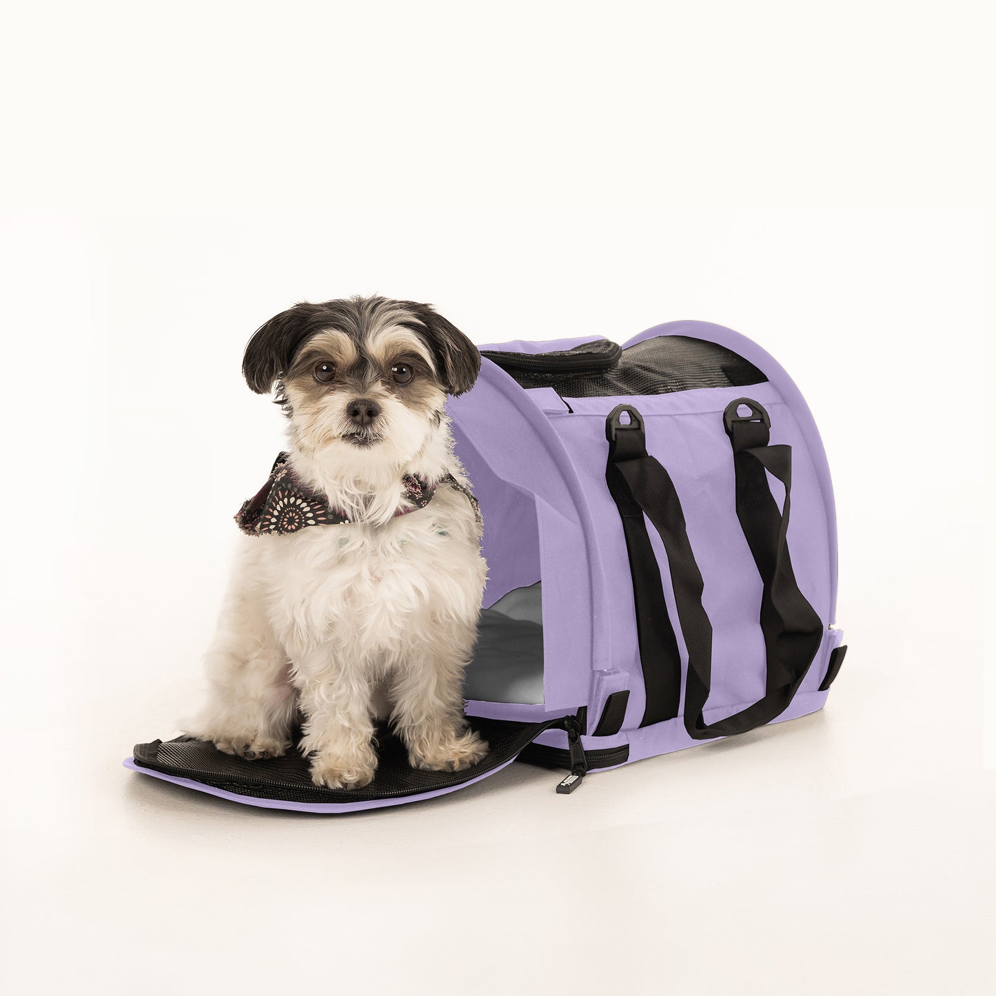 Small dog in a lavender SturdiBag Pro 2.0 soft-sided pet carrier with mesh panels and black straps.