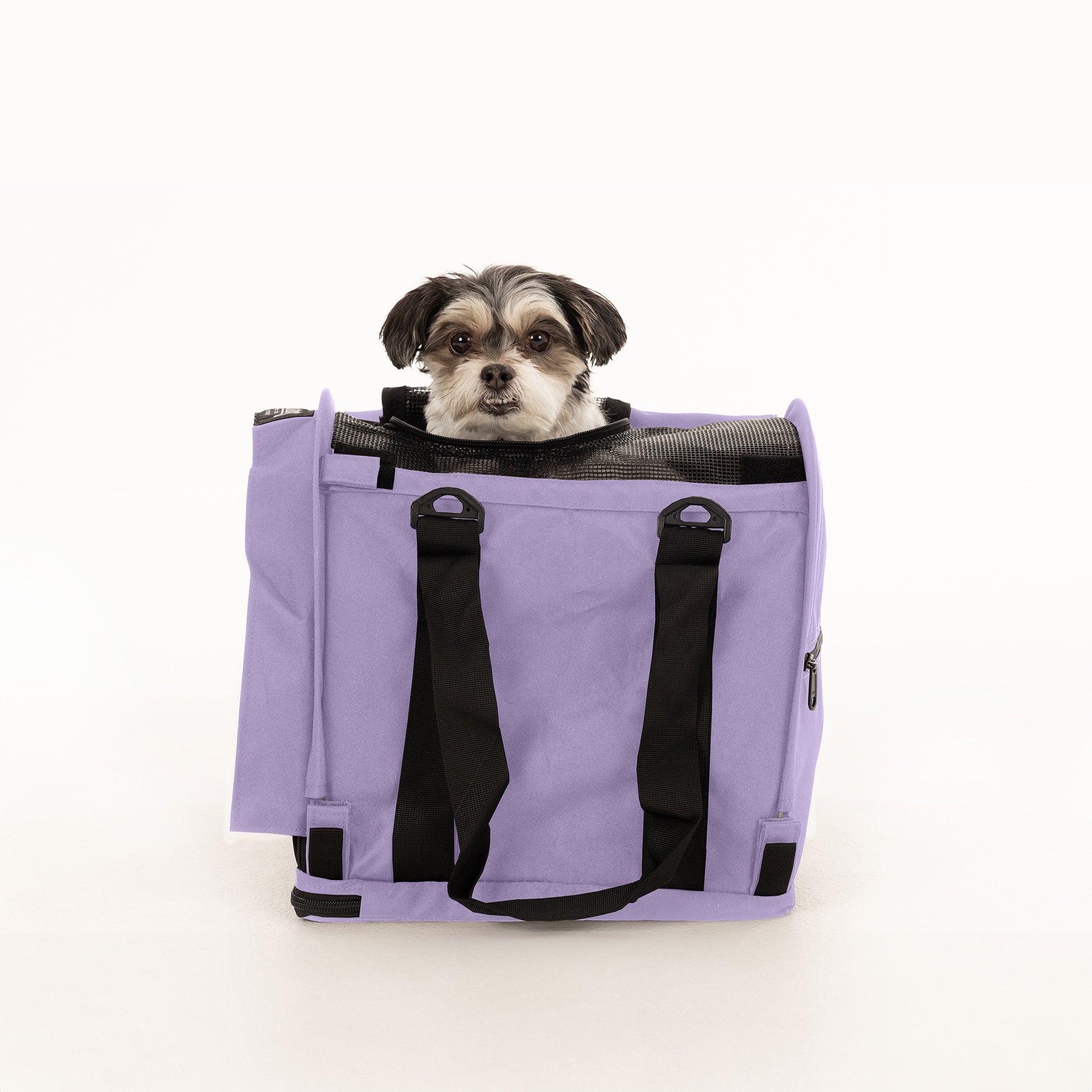 Lavender SturdiBag Pro 2.0 pet carrier with a small dog peeking out, showing mesh top and black straps.