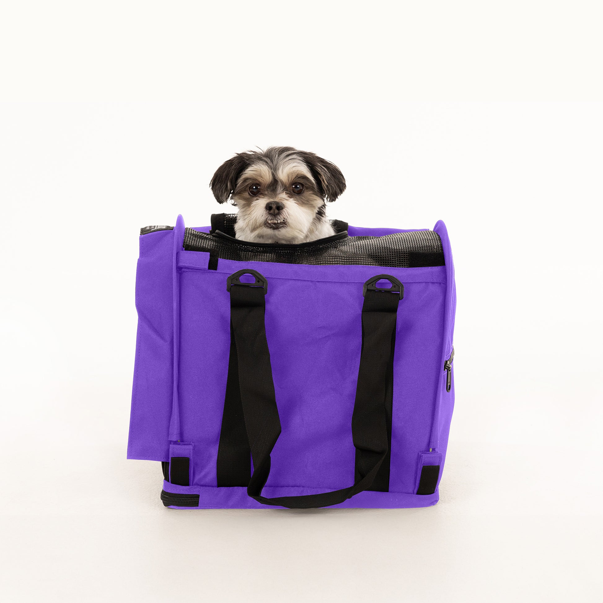 Purple SturdiBag Pro 2.0 soft-sided pet carrier with a small black and white dog peeking out.