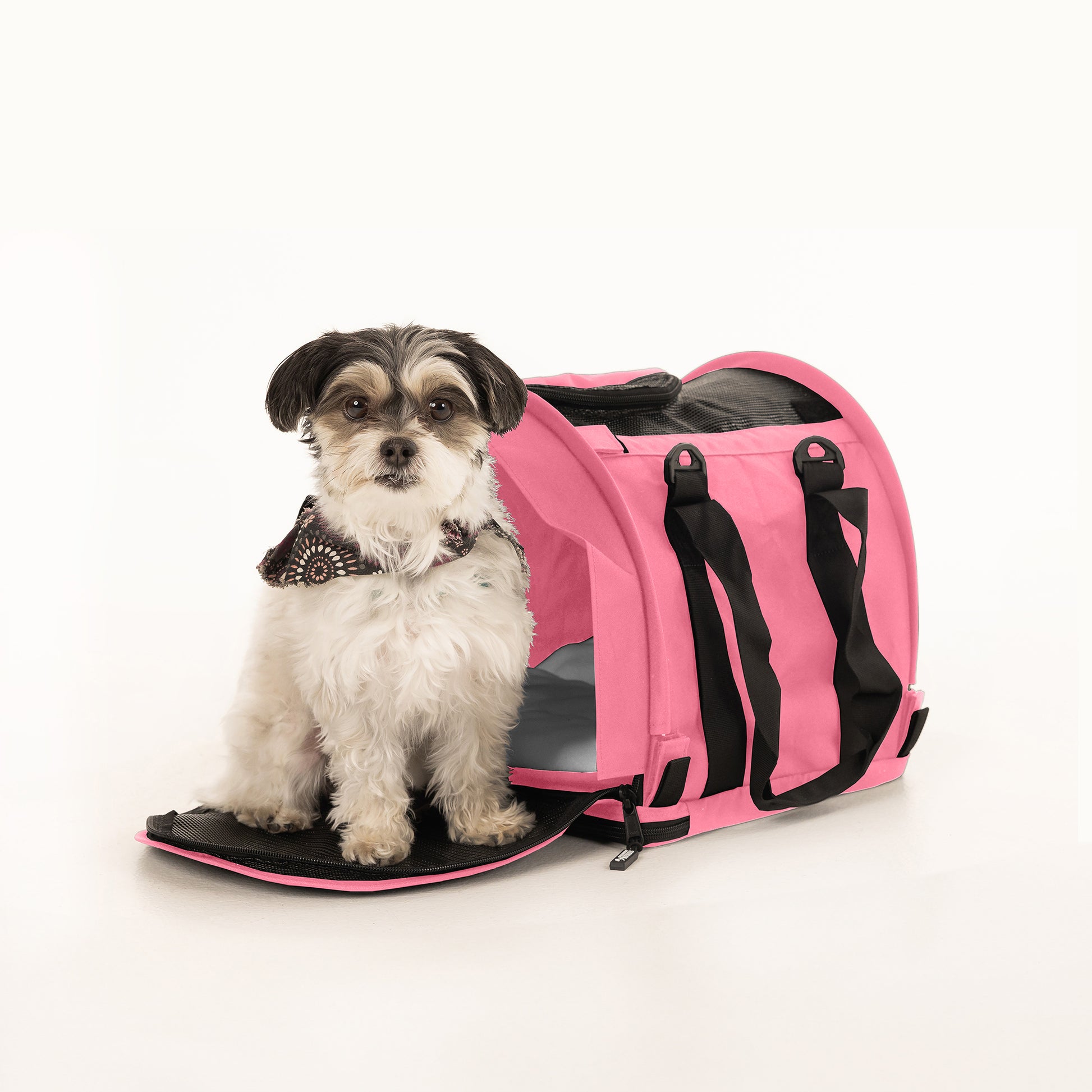 Small dog in a pink SturdiBag Pro 2.0 pet carrier with mesh panels and black straps.