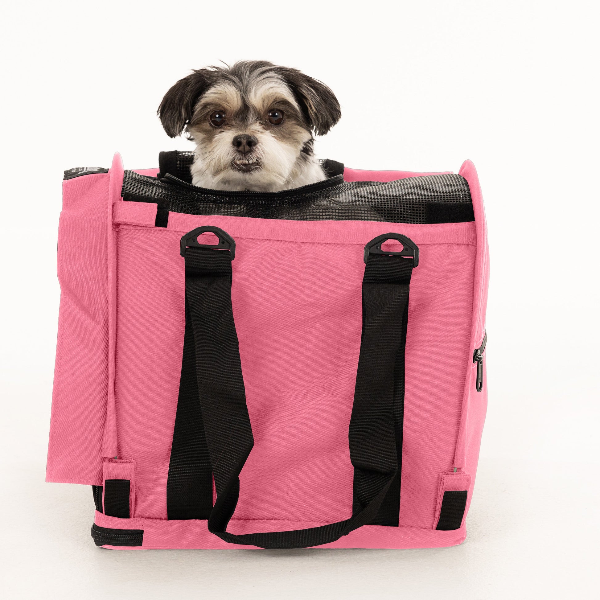 Small black and white dog peeking from a pink SturdiBag Pro 2.0 soft-sided pet carrier with black straps.