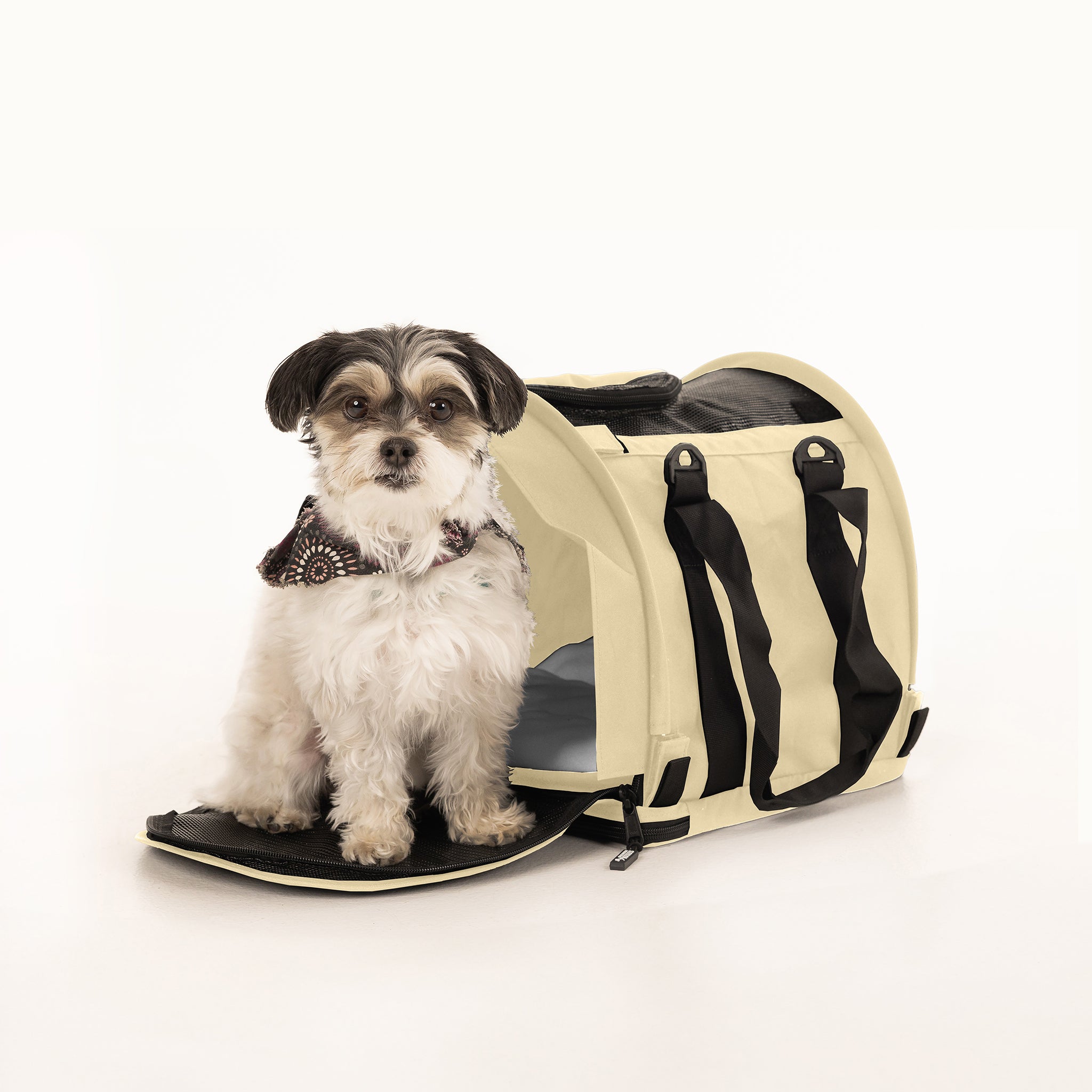 SturdiBag™ Pro 2.0 | Soft-Sided Airline-Approved Travel Pet