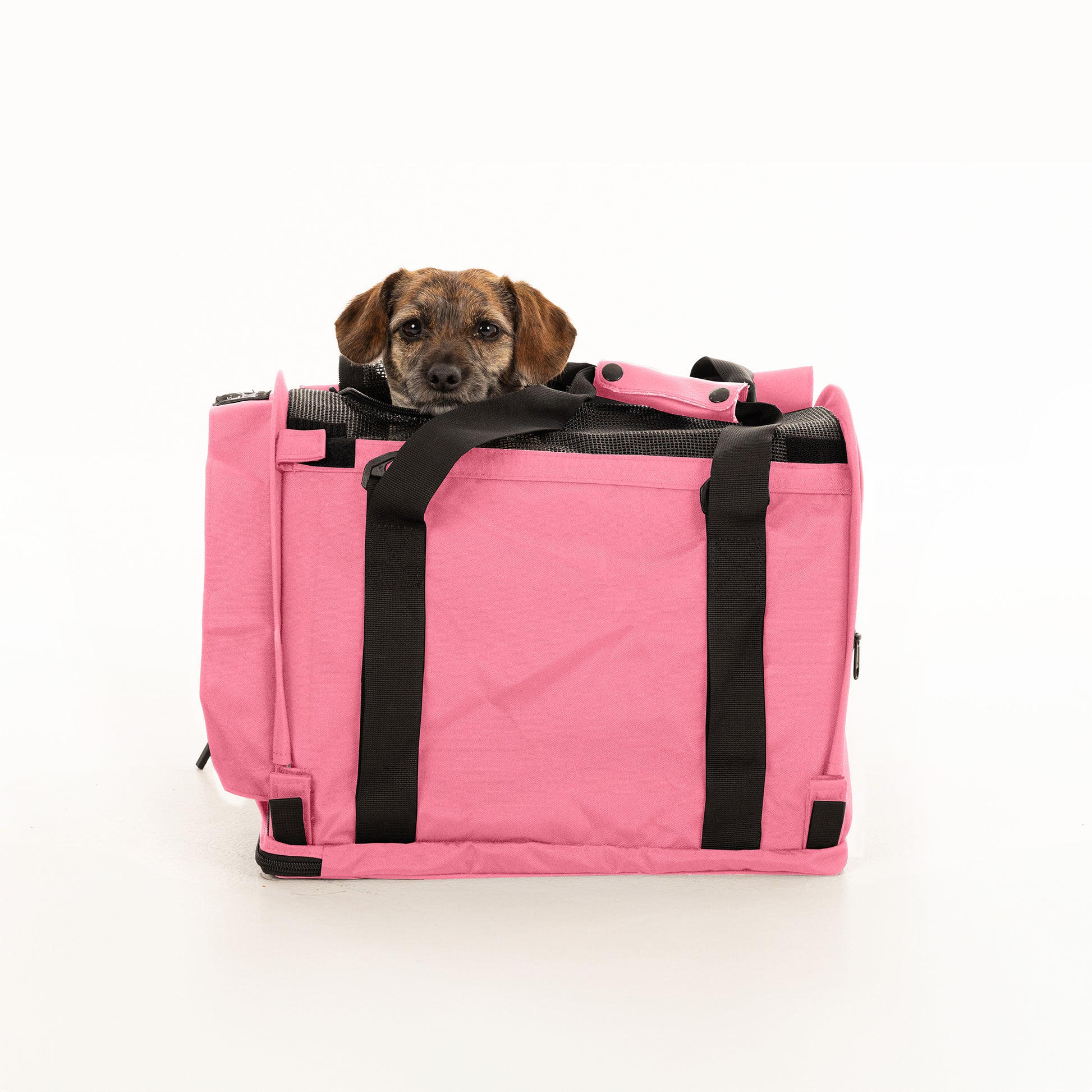 Pink SturdiBag Pro 2.0 soft-sided pet carrier with a small brown dog peeking out.