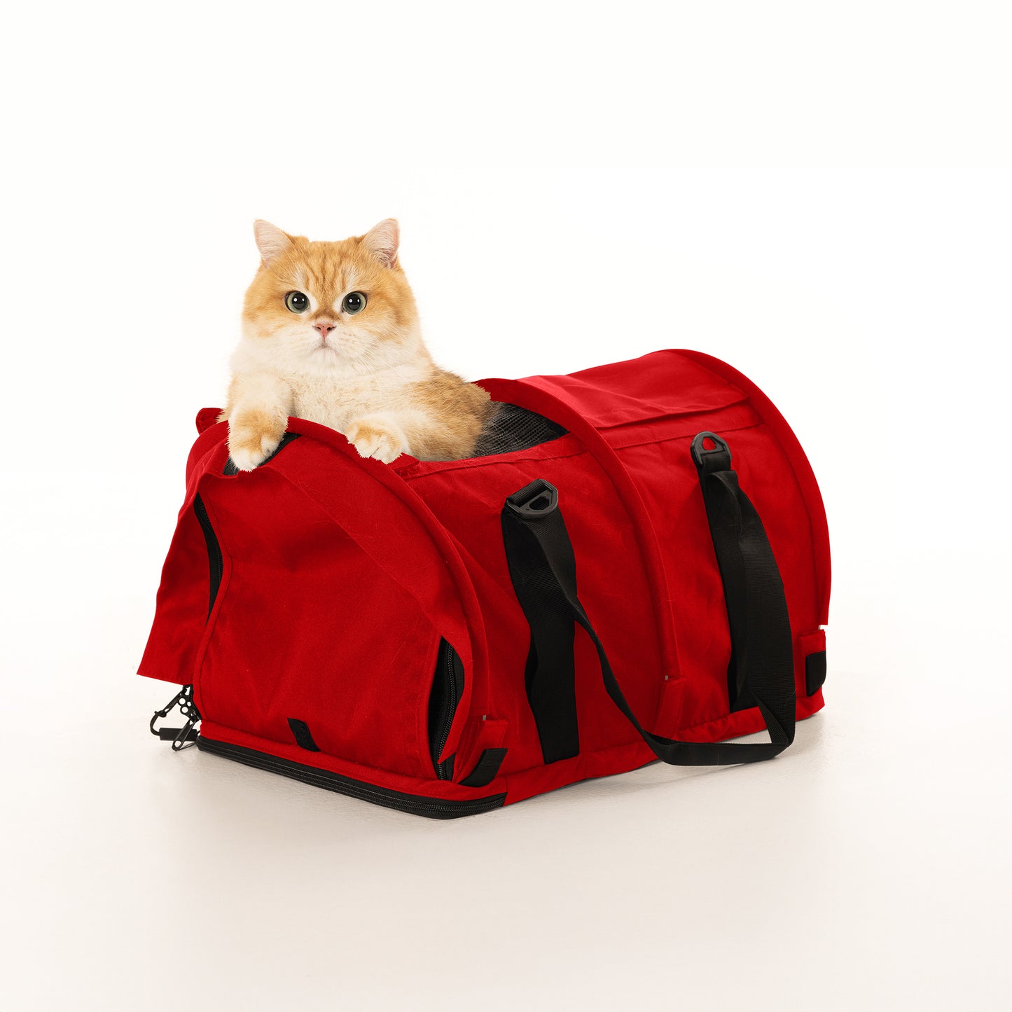 Golden cat peeking from a red SturdiBag Pro 2.0 soft-sided pet carrier with mesh panels.
