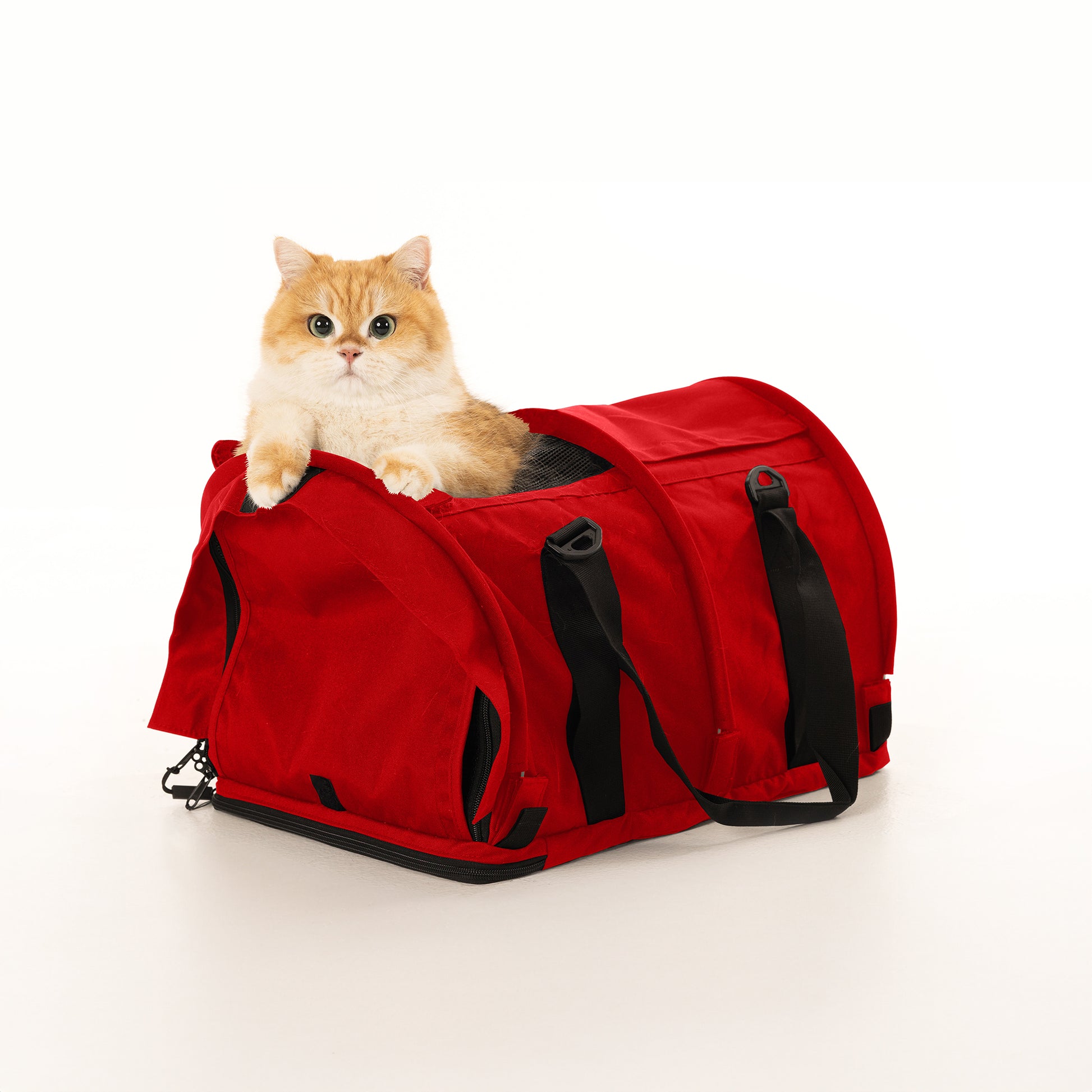 Golden cat peeking from a red SturdiBag Pro 2.0 soft-sided pet carrier with mesh panels.
