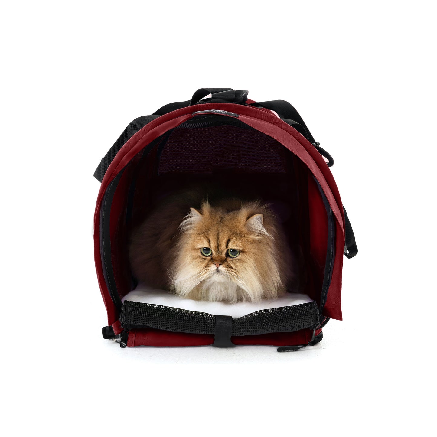 Fluffy golden cat inside a red SturdiBag Pro 2.0 soft-sided pet carrier with mesh panels and a white pad.