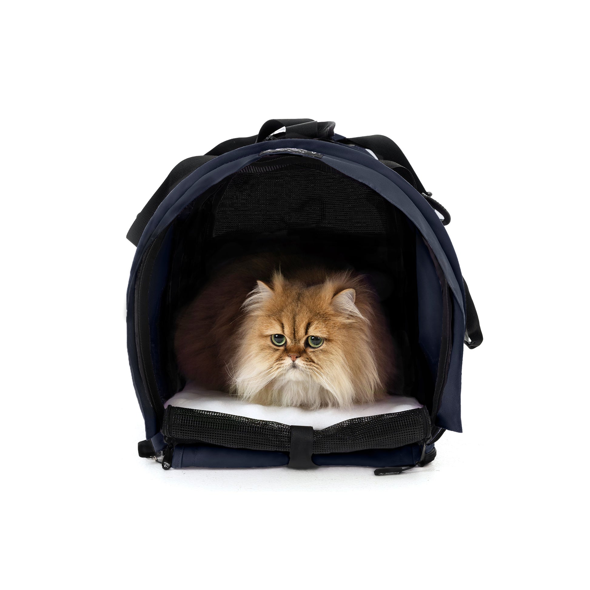 SturdiBag Pro 2.0 navy soft-sided pet carrier with a fluffy golden cat inside.