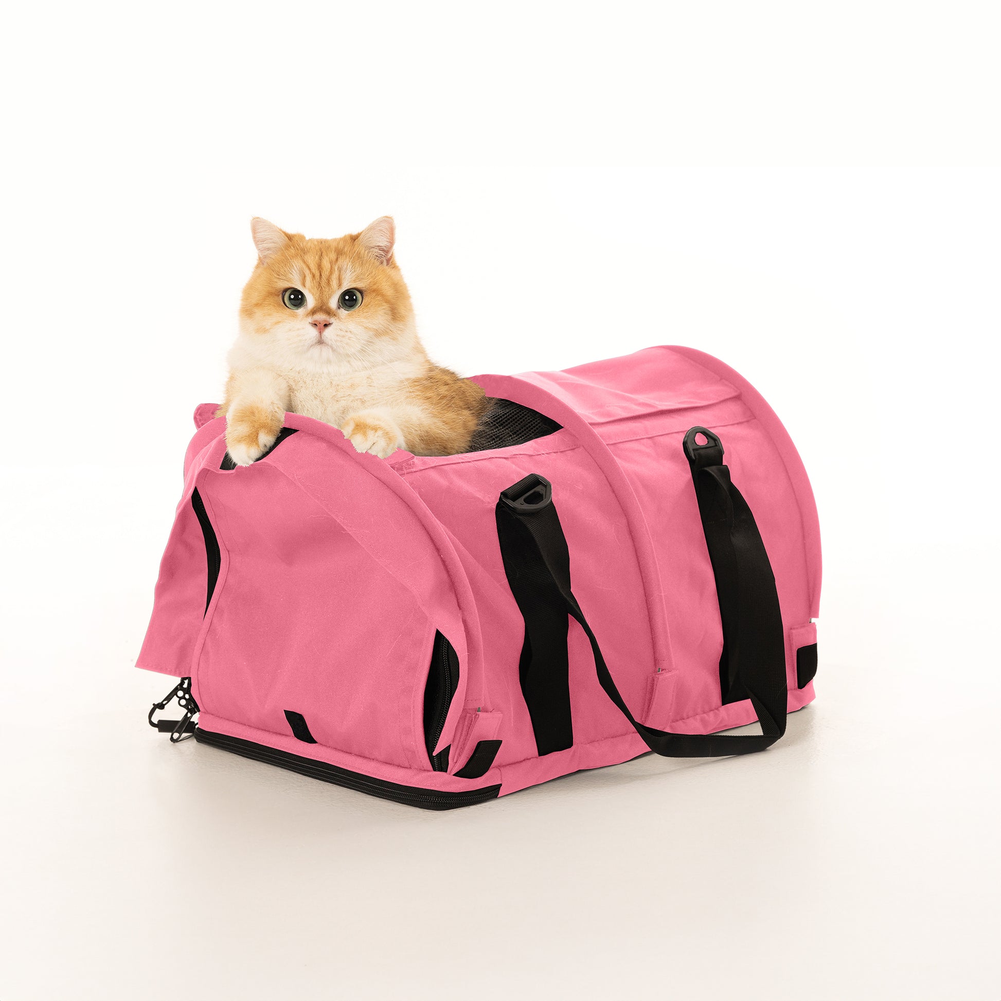 Golden cat peeking from a pink SturdiBag Pro 2.0 soft-sided pet carrier with black straps and mesh panels.