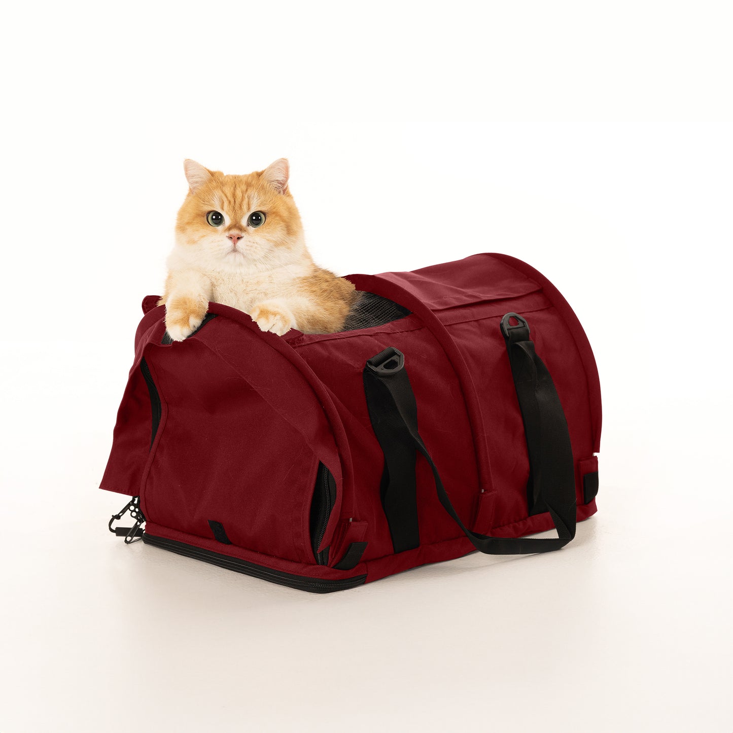 A cute ginger cat peeks out of a red SturdiBag Pro 2.0 soft-sided pet carrier with mesh panels.