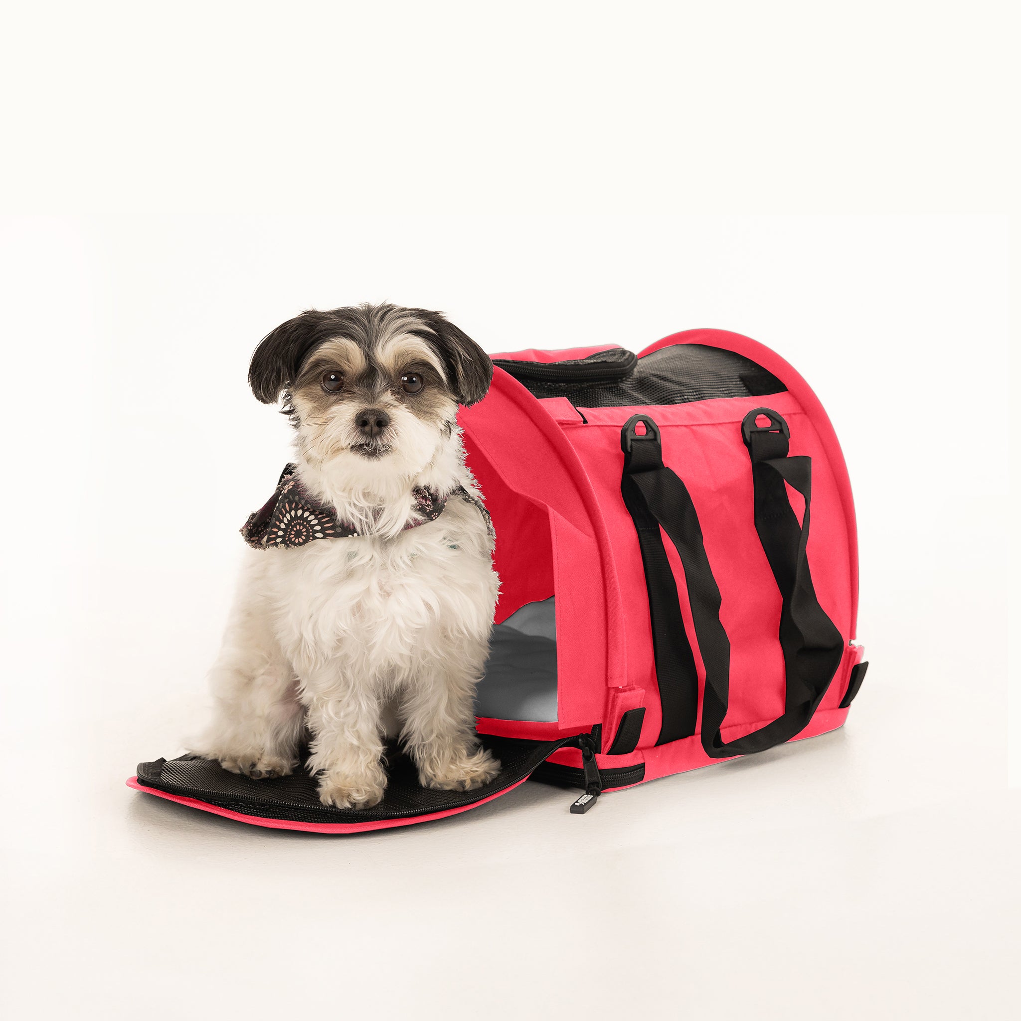 SturdiBag™ Pro 2.0 | Soft-Sided Airline-Approved Travel Pet SturdiBag™ Pro 2.0 | Soft-Sided Airline-Approved Travel Pet