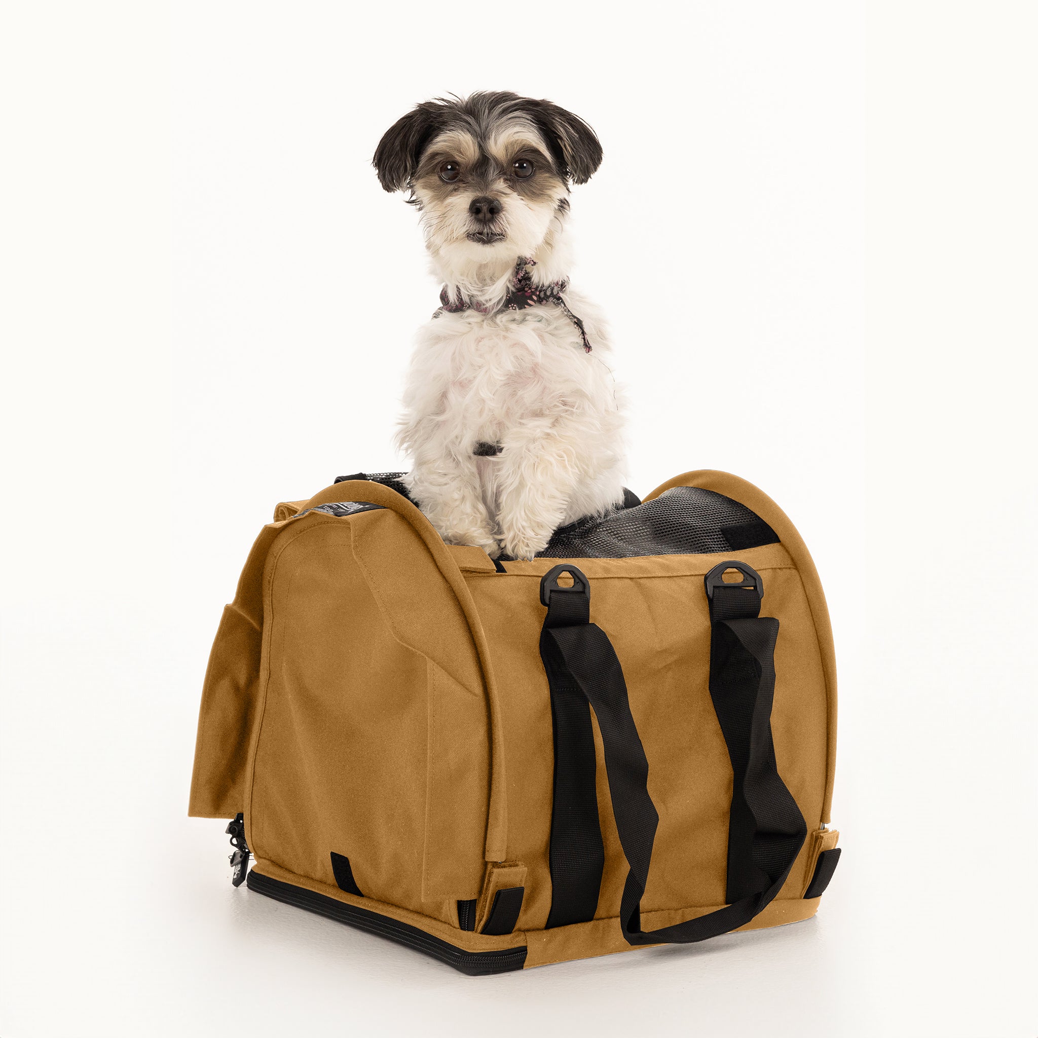 Small black and white dog sitting in a tan SturdiBag Pro 2.0 soft-sided pet carrier with mesh panels.