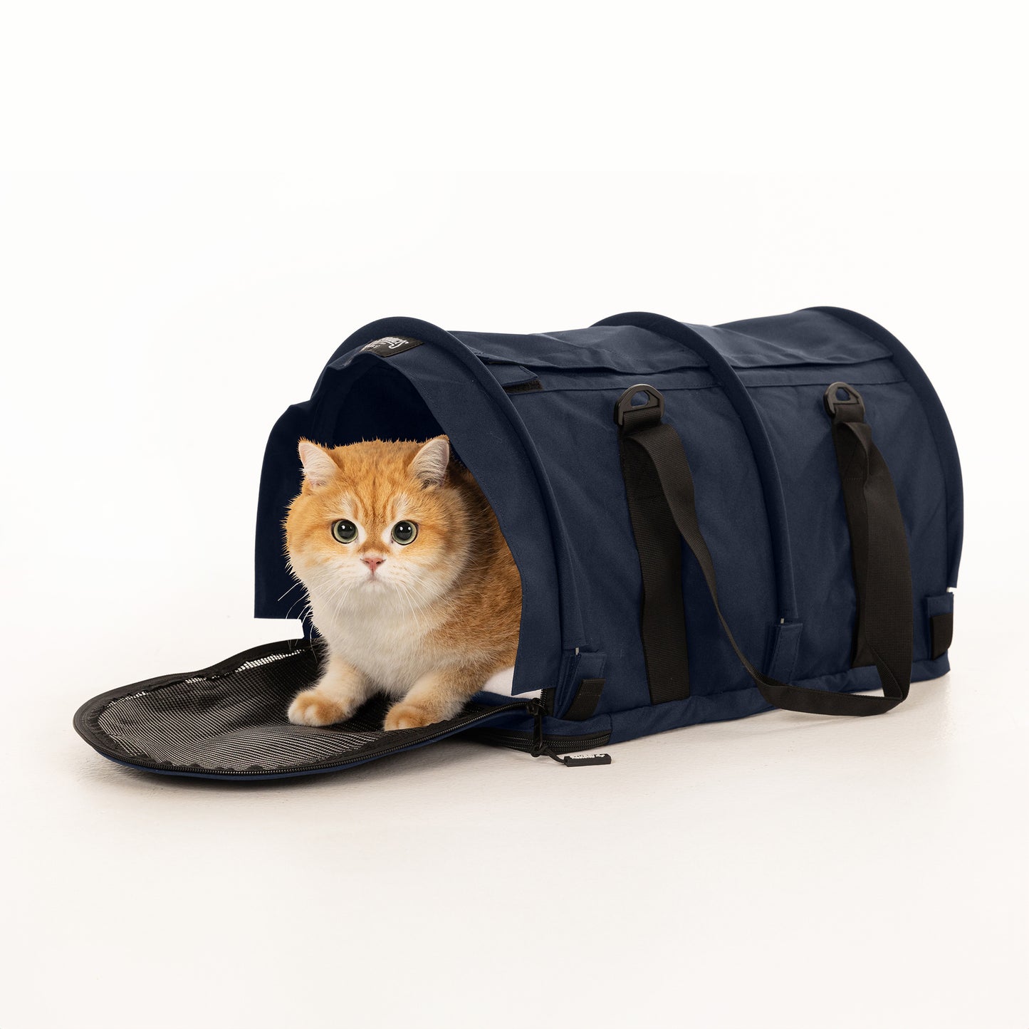 Orange cat peeking from a navy blue SturdiBag Pro 2.0 soft-sided pet carrier with mesh opening.