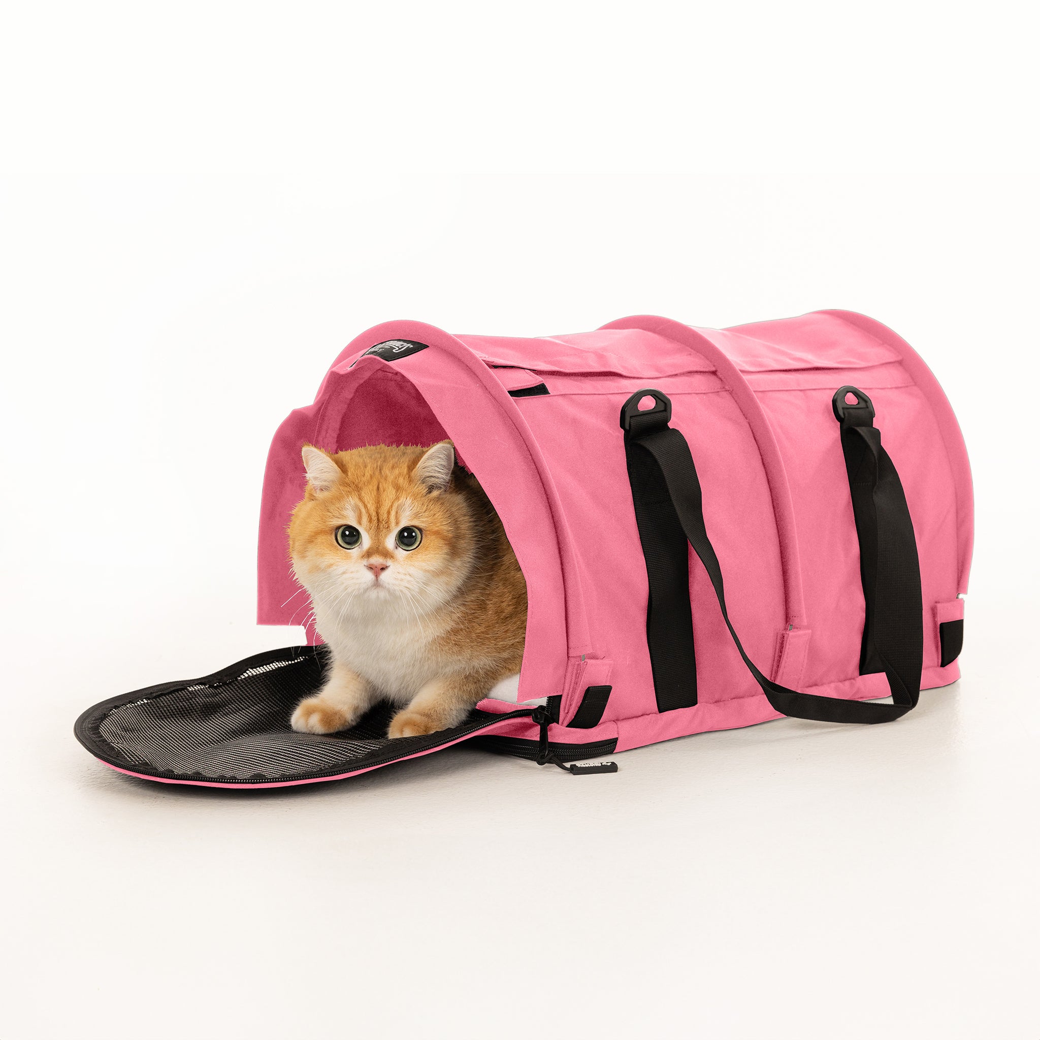 Pink SturdiBag Pro 2.0 soft-sided pet carrier with a ginger cat peeking out, showing mesh panels and black straps.
