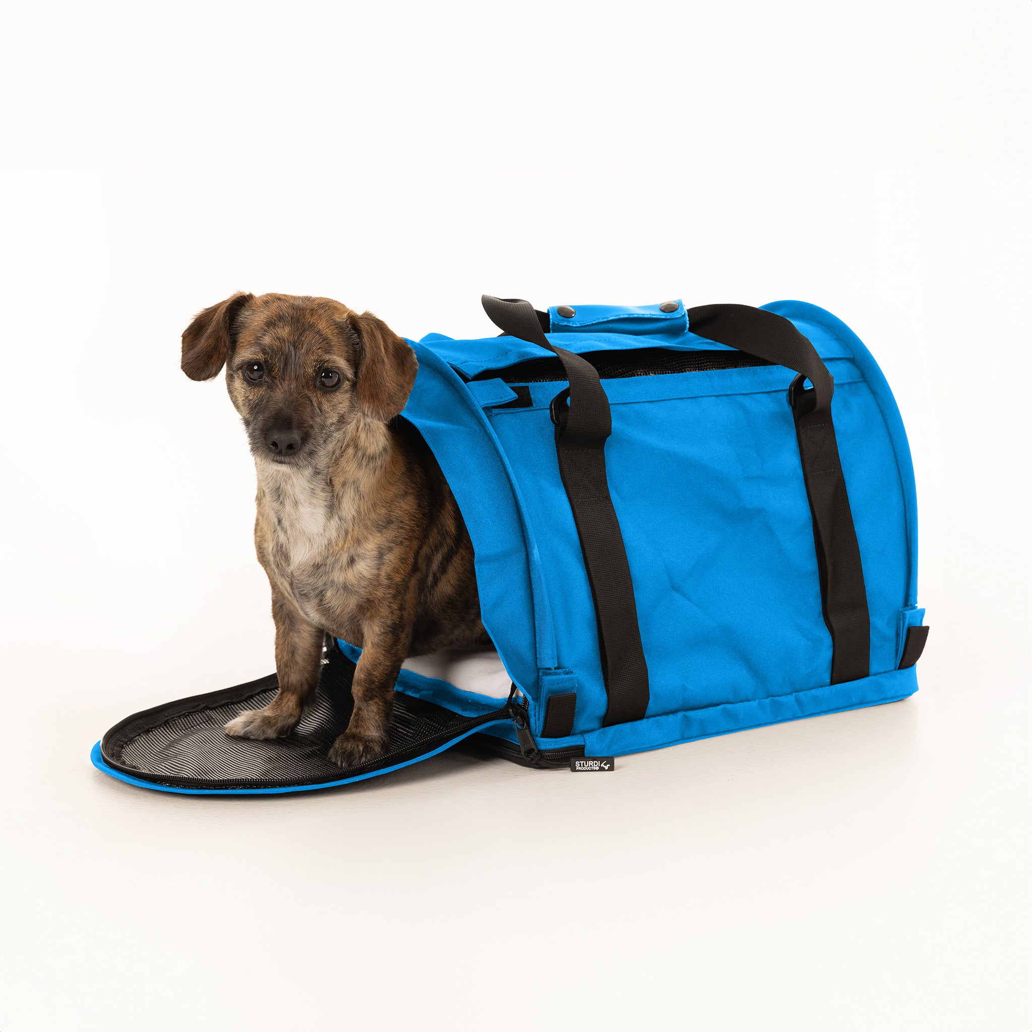 Brindle dog peeking from a blue SturdiBag Pro 2.0 soft-sided pet carrier with mesh panels.
