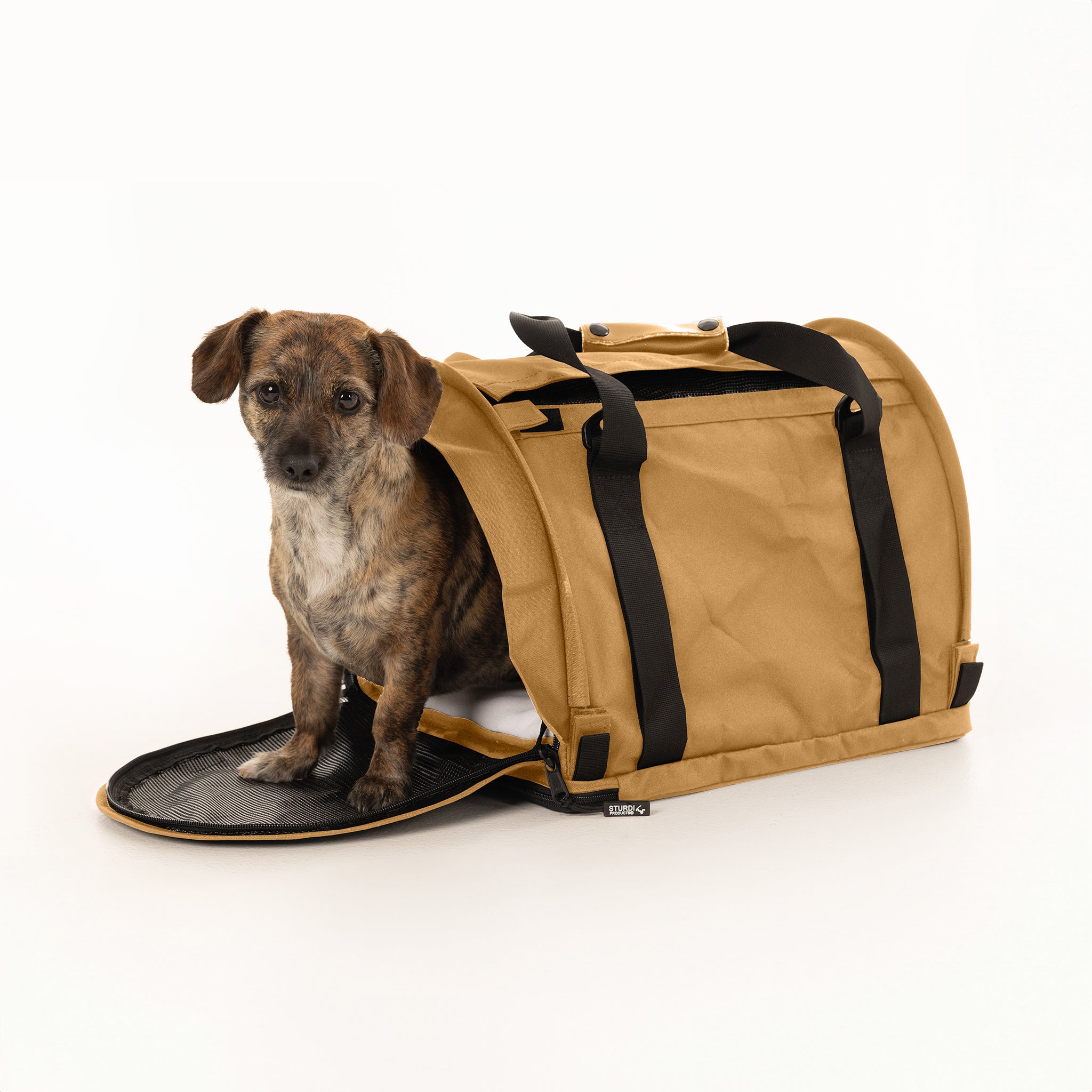Brindle dog peeking from a tan SturdiBag Pro 2.0 soft-sided pet carrier with black straps and mesh.