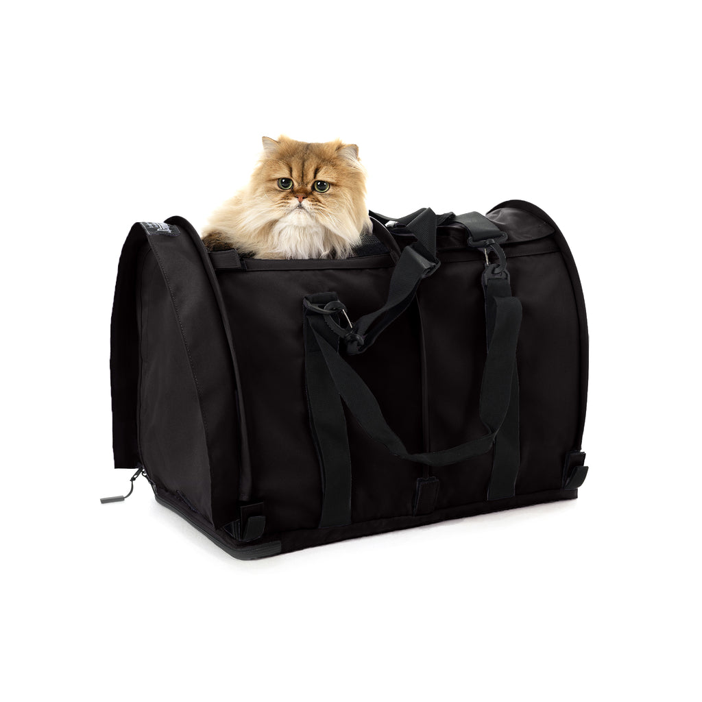 Black SturdiBag Pro 2.0 soft-sided pet carrier with a golden Persian cat peeking out.