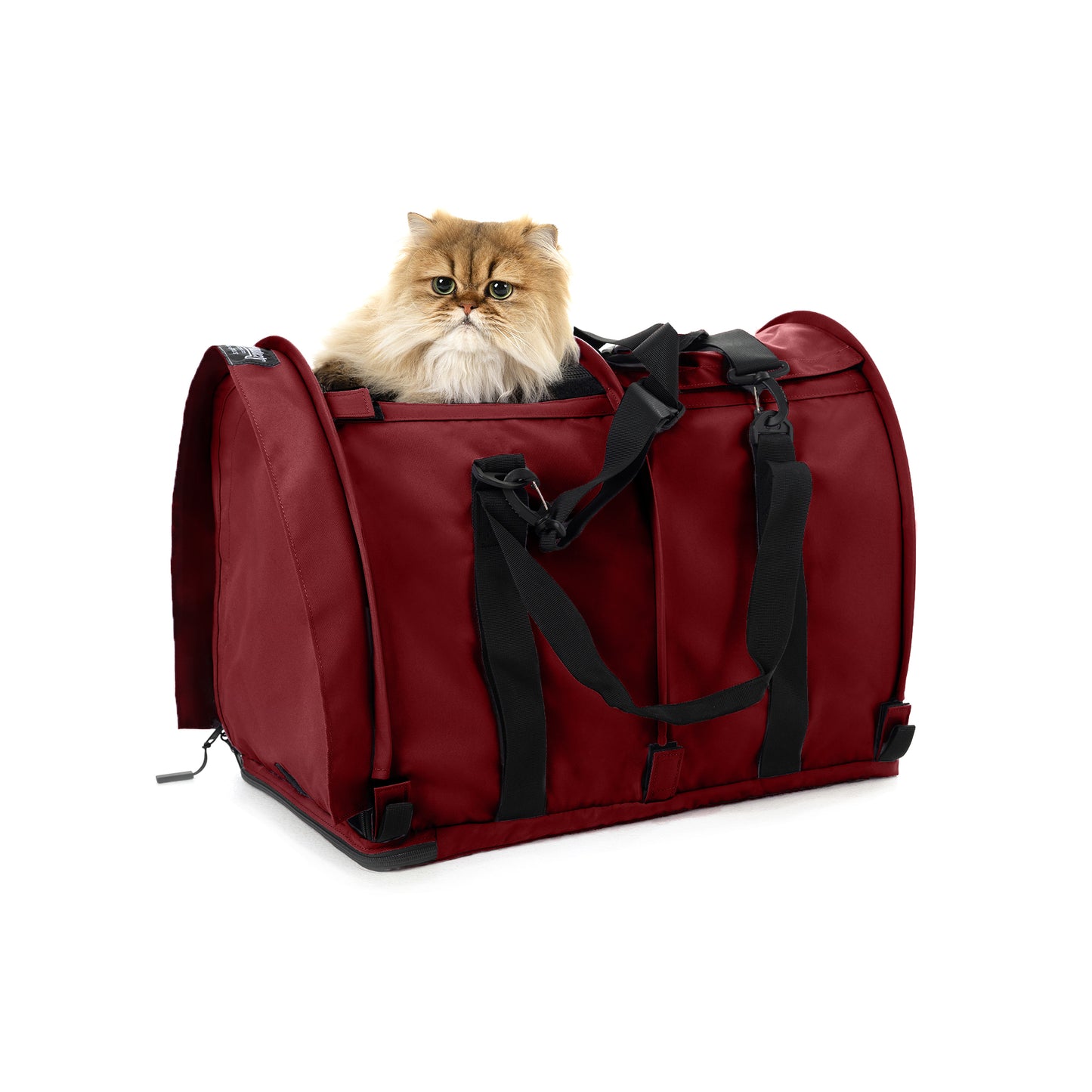 Red SturdiBag Pro 2.0 pet carrier with a fluffy golden cat peeking out.