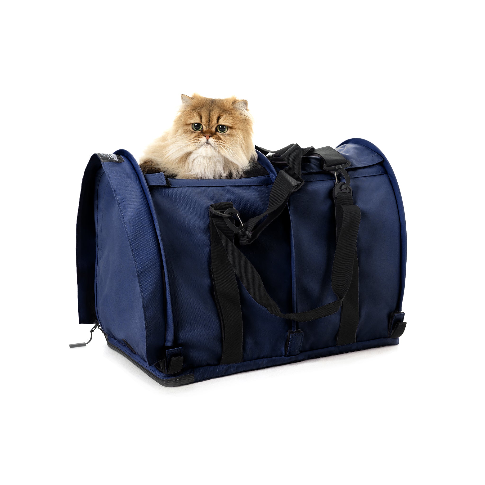 Golden cat peeking from a navy blue soft-sided SturdiBag Pro 2.0 pet carrier with mesh panels.