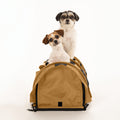 Two small dogs, one white and one brown/white, peeking out of a tan SturdiBag Pro 3.0 divided pet carrier.