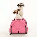 Two small dogs, one white and brown, one black and white, sit atop a pink SturdiBag Pro 3.0 divided pet carrier.