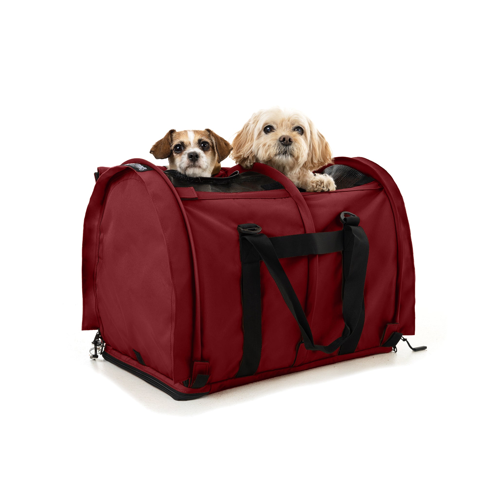 Two small dogs in a red SturdiBag Pro 3.0 divided pet carrier with mesh panels and black handles.