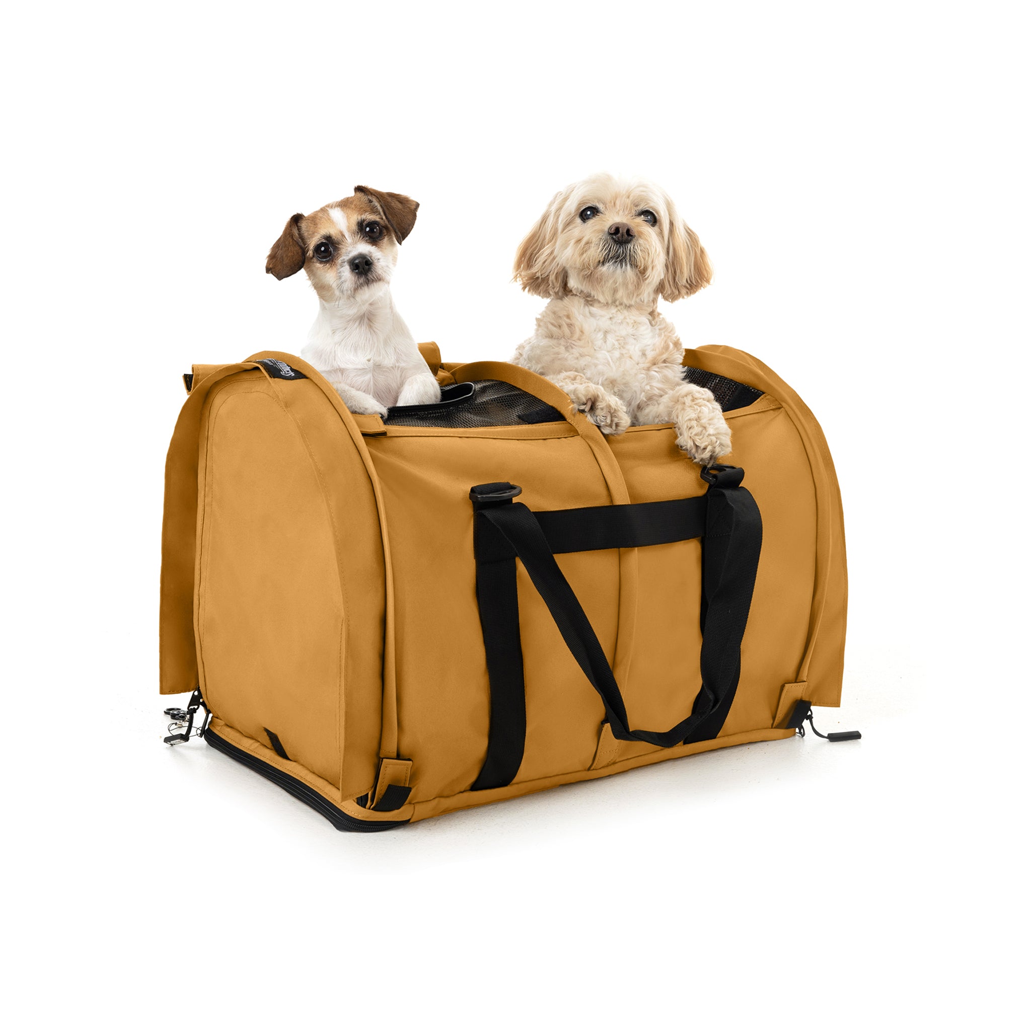 Two small dogs in a mustard yellow SturdiBag Pro 3.0 divided pet carrier with black mesh and straps.