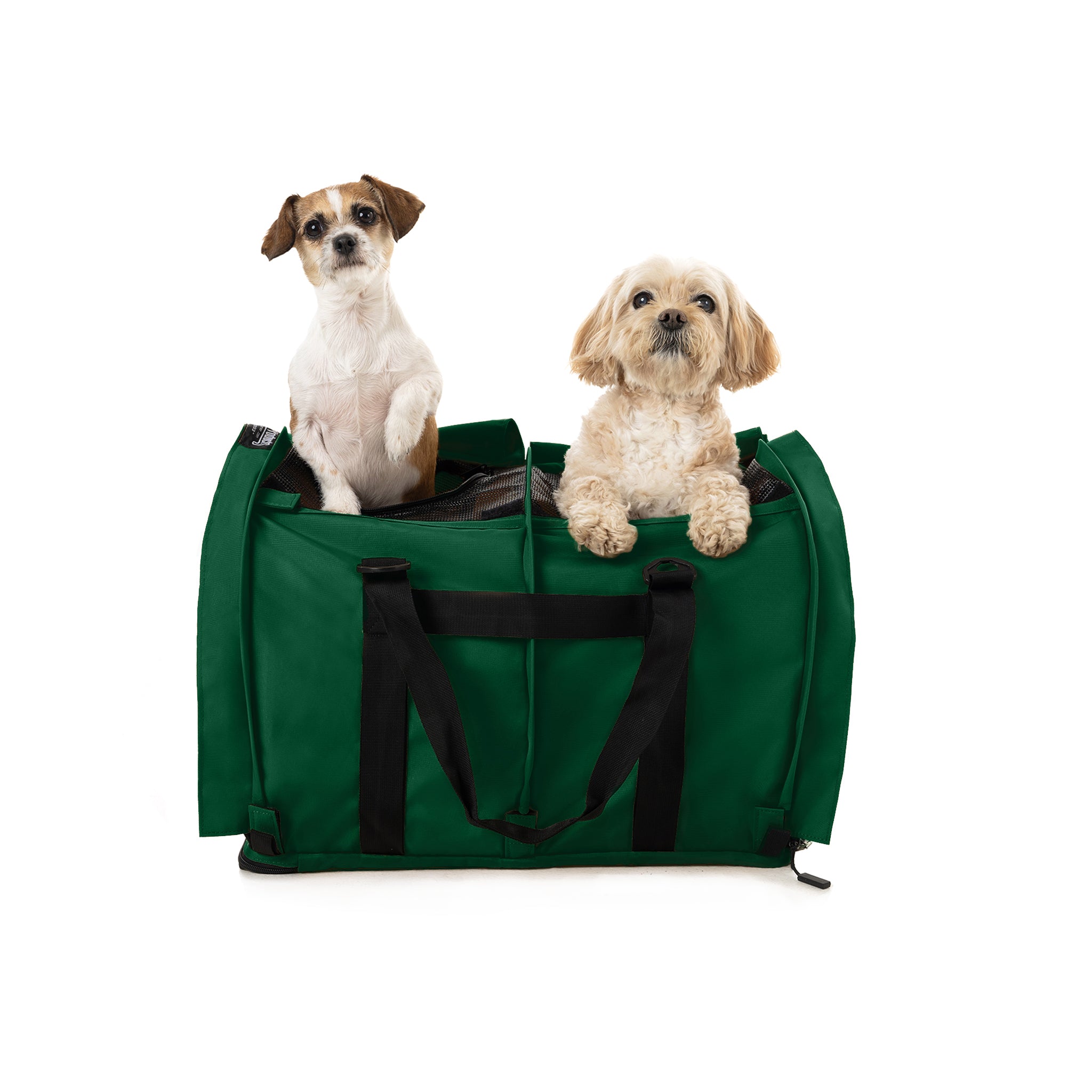 Two small dogs in a green SturdiBag Pro 3.0 divided pet carrier with mesh panels.