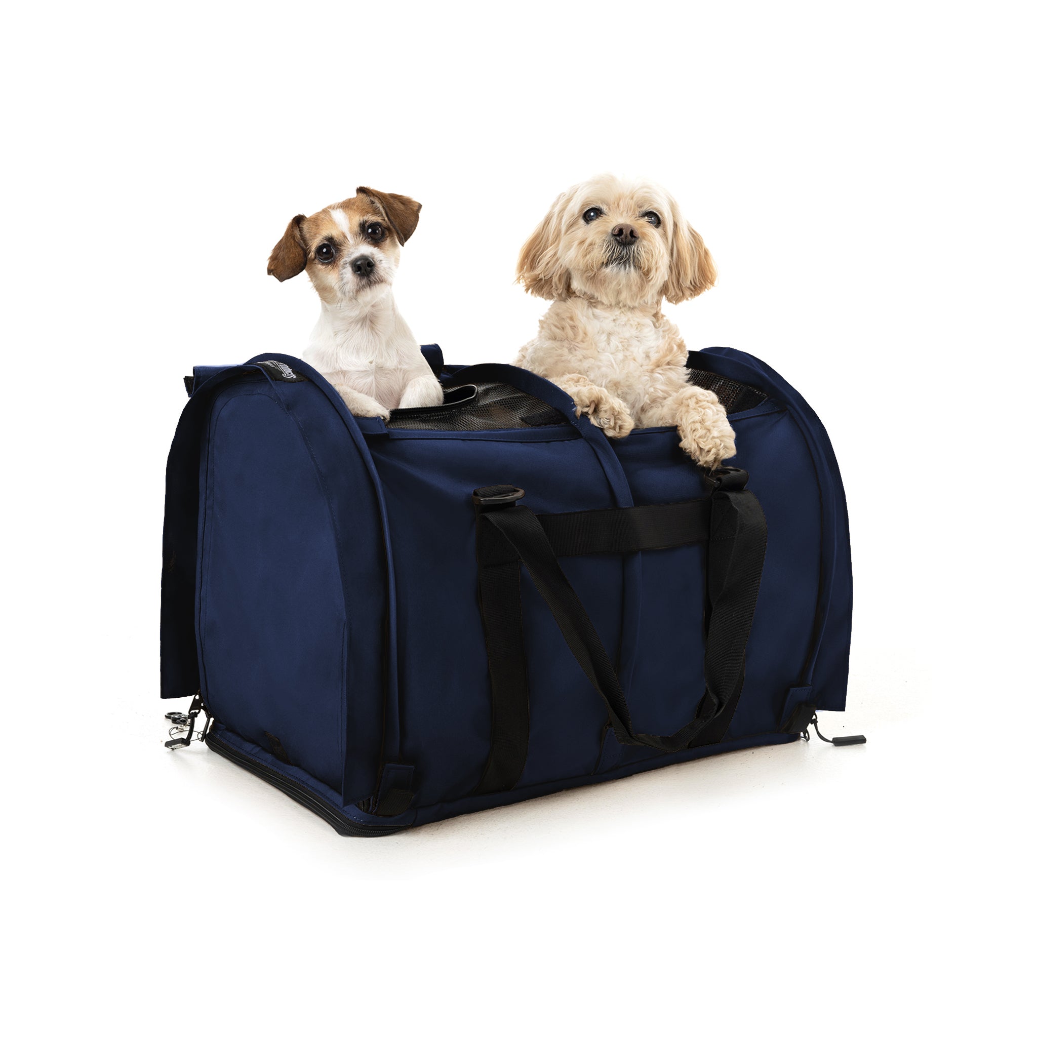 Two small dogs in a navy blue SturdiBag Pro 3.0 divided pet carrier with mesh panels.