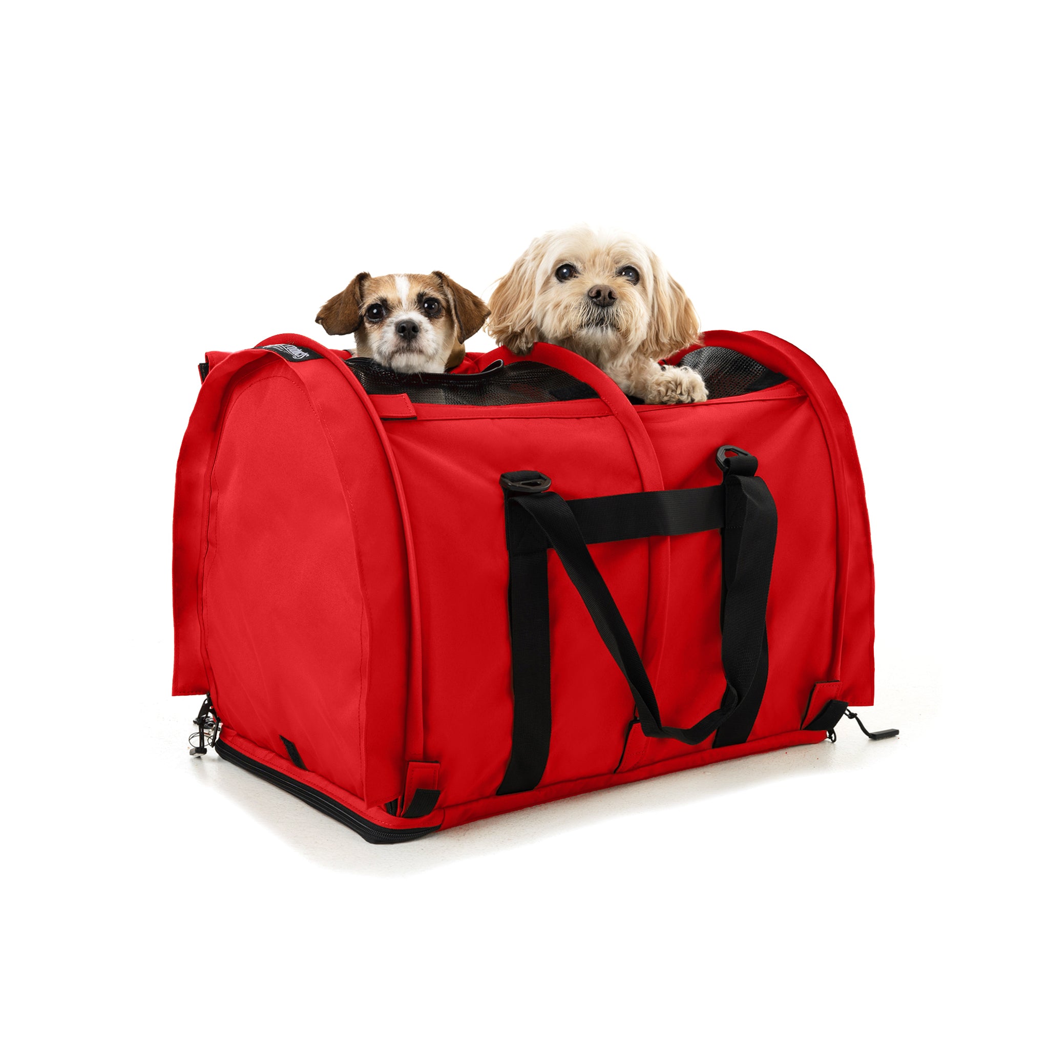 Red SturdiBag Pro 3.0 divided pet carrier with two small dogs peeking out.