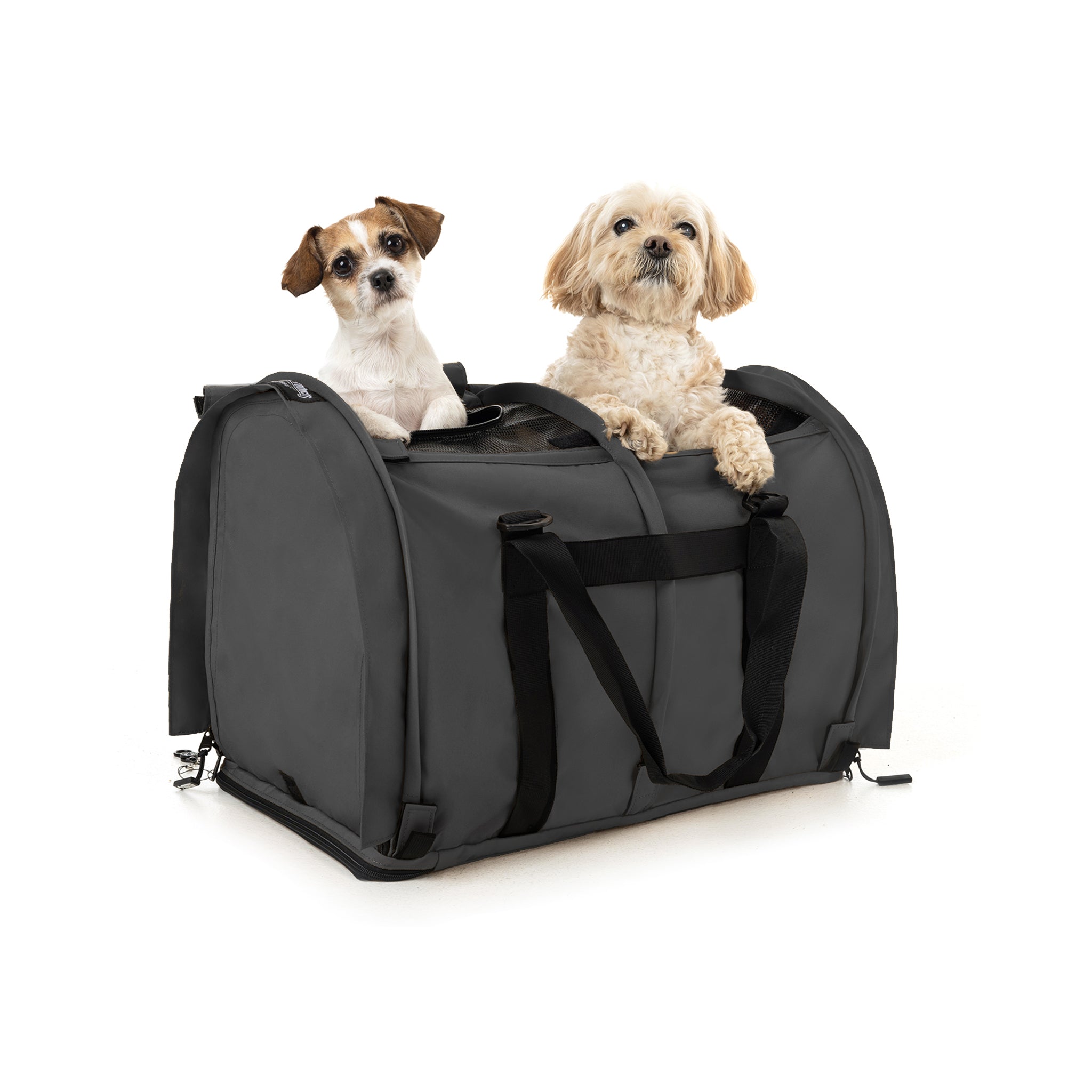 Dark gray SturdiBag Pro 3.0 divided pet carrier with a small Jack Russell and a light brown dog inside.