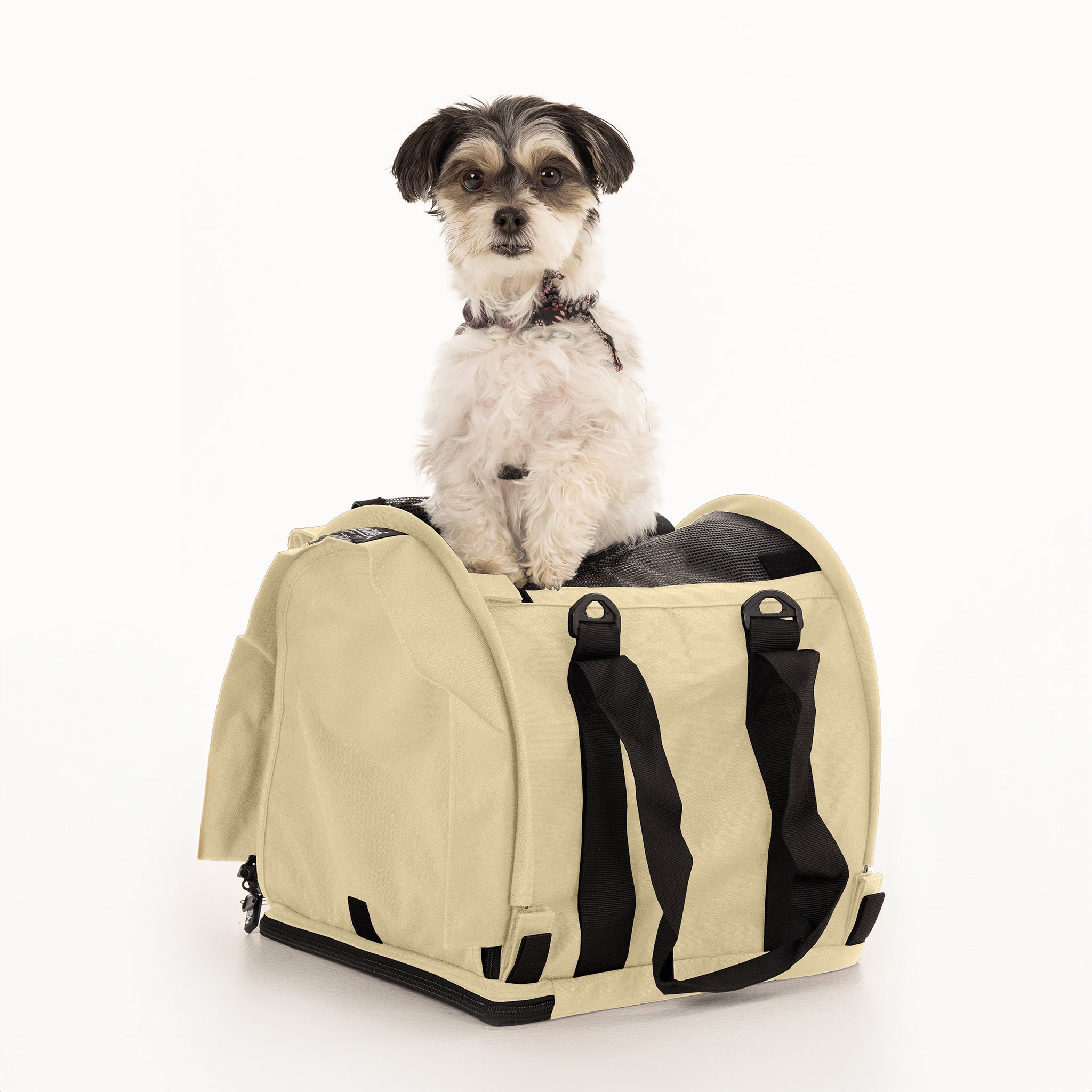 SturdiBag Pro 2.0 Haustiertragetasche XL – Weiche Seiten, Sicherheitsclips & Gurte – Für Auto, Reisen (nicht Flugtauglich)