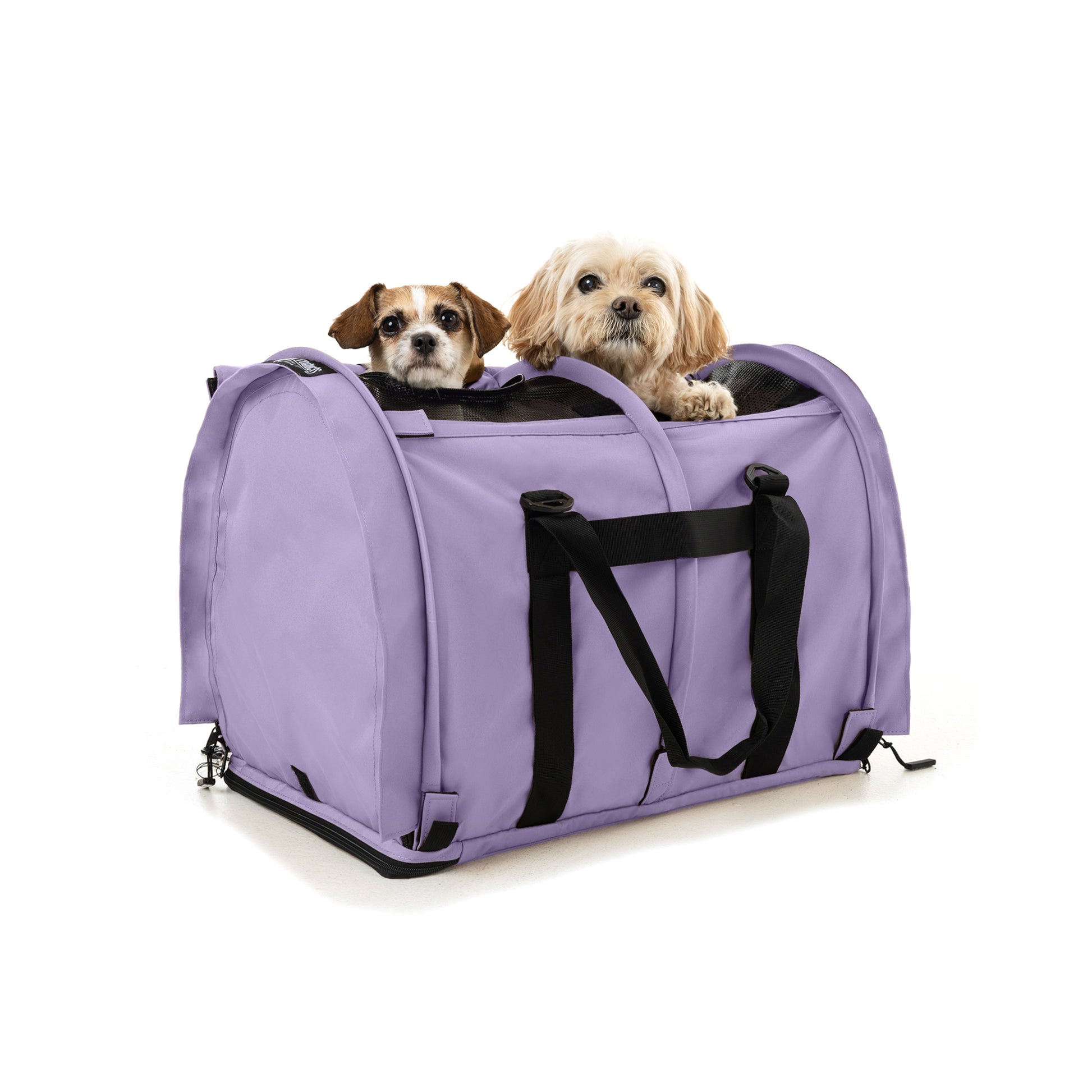 SturdiBag™ Pro 3.0 - Divided-pet carrier-Sturdi Products-Sturdi Products