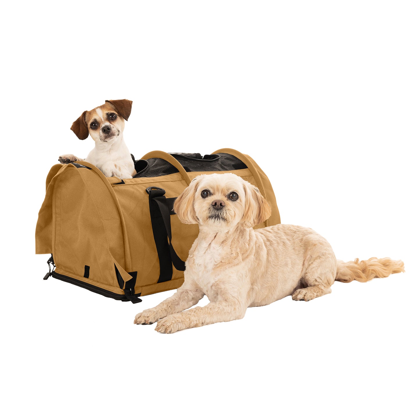 SturdiBag™ Pro 3.0 - Divided-pet carrier-Sturdi Products-Sturdi Products