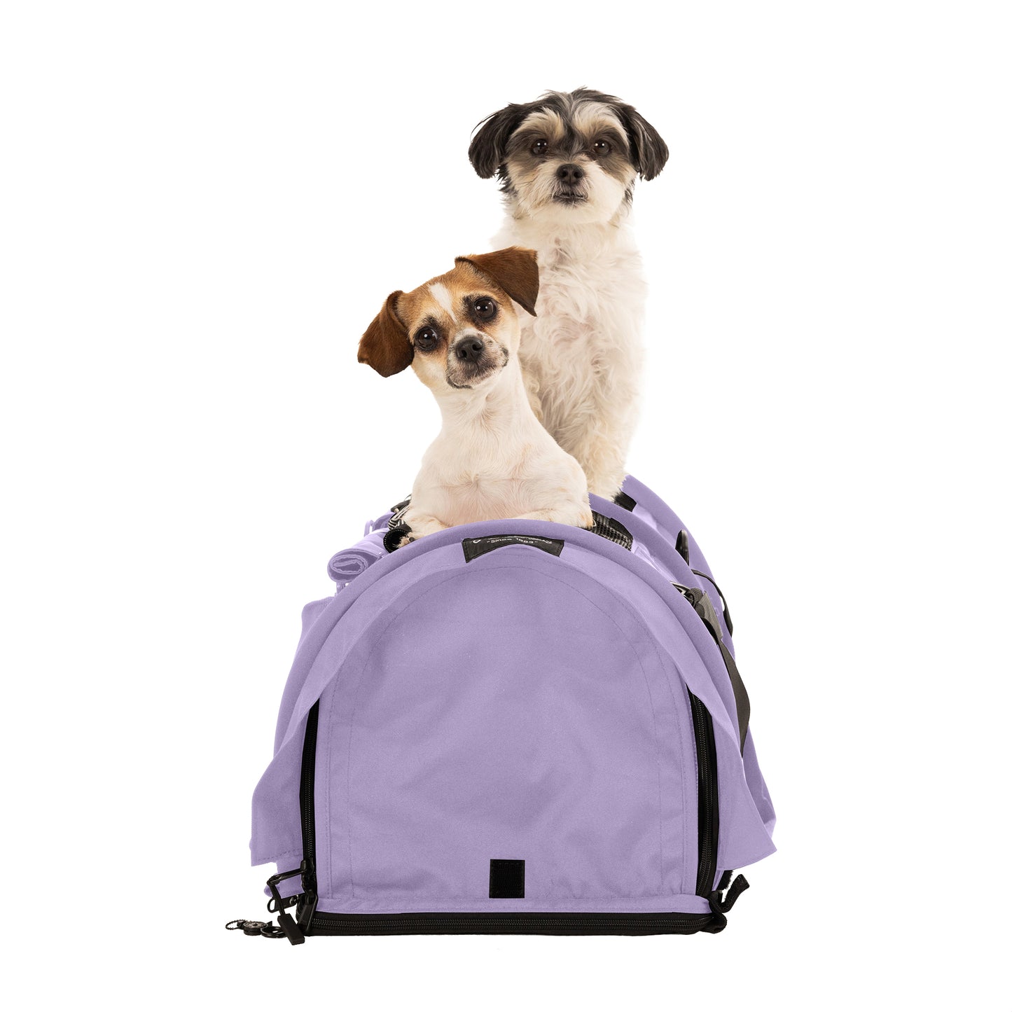 SturdiBag™ Pro 3.0 - Divided-pet carrier-Sturdi Products-Sturdi Products
