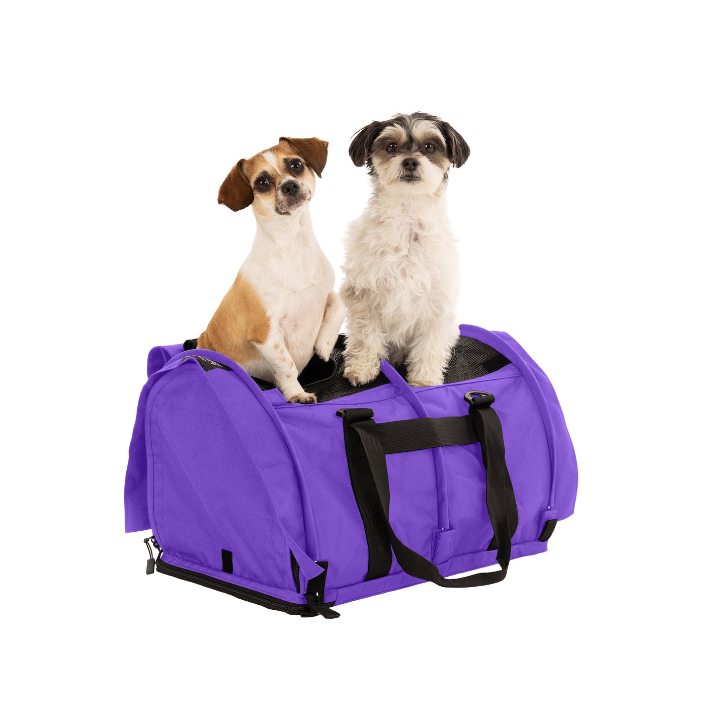 SturdiBag™ Pro 3.0 - Divided-pet carrier-Sturdi Products-Sturdi Products