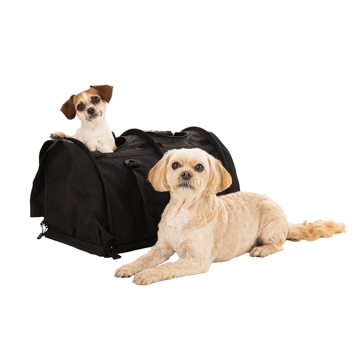 SturdiBag™ Pro 3.0 - Divided-pet carrier-Sturdi Products-Sturdi Products
