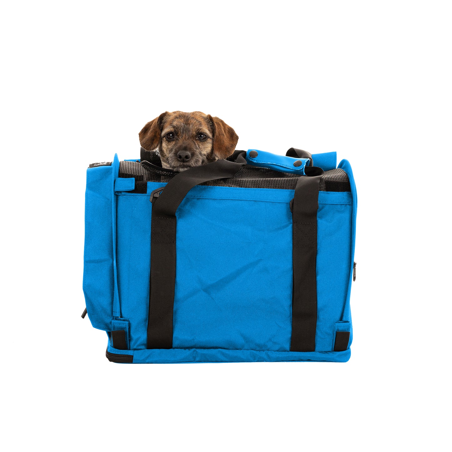 SturdiBag™ Pro 3.0-pet carrier-Sturdi Products-Sturdi Products