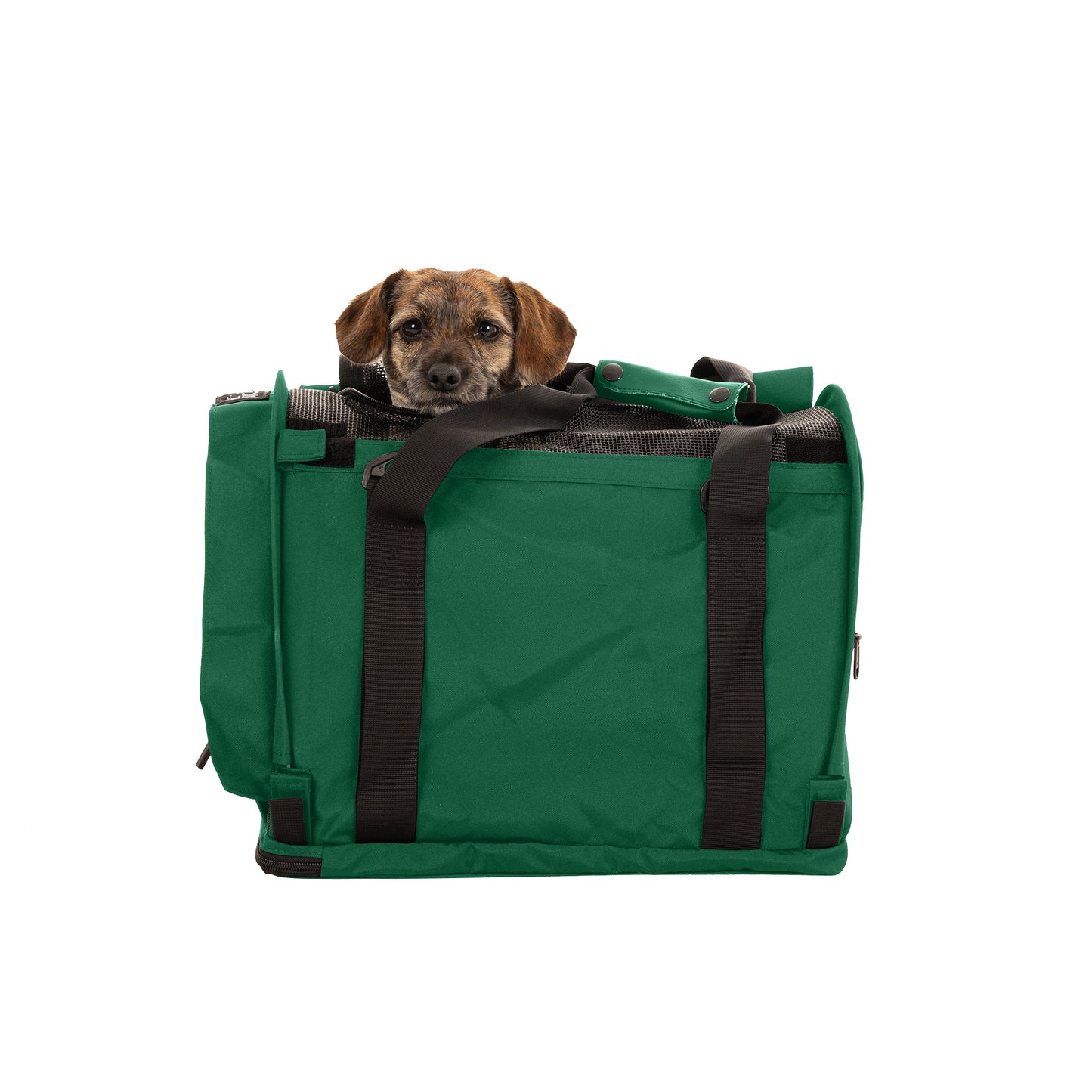 SturdiBag™ Pro 3.0-pet carrier-Sturdi Products-Sturdi Products