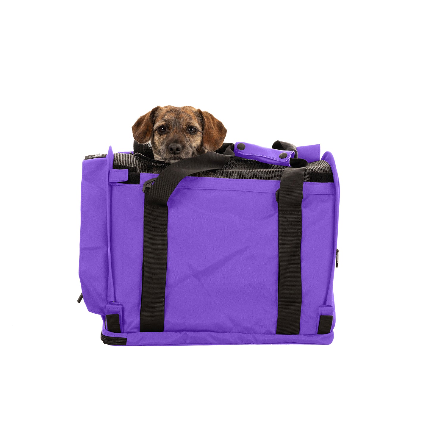 SturdiBag™ Pro 3.0-pet carrier-Sturdi Products-Sturdi Products