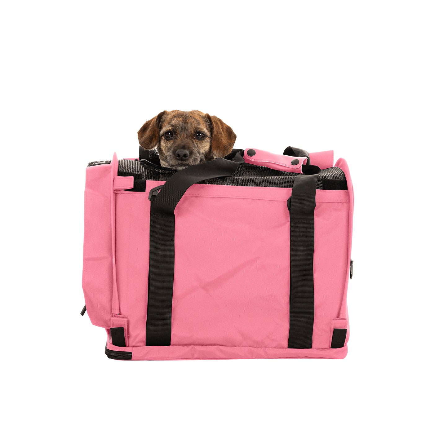 SturdiBag™ Pro 3.0-pet carrier-Sturdi Products-Sturdi Products