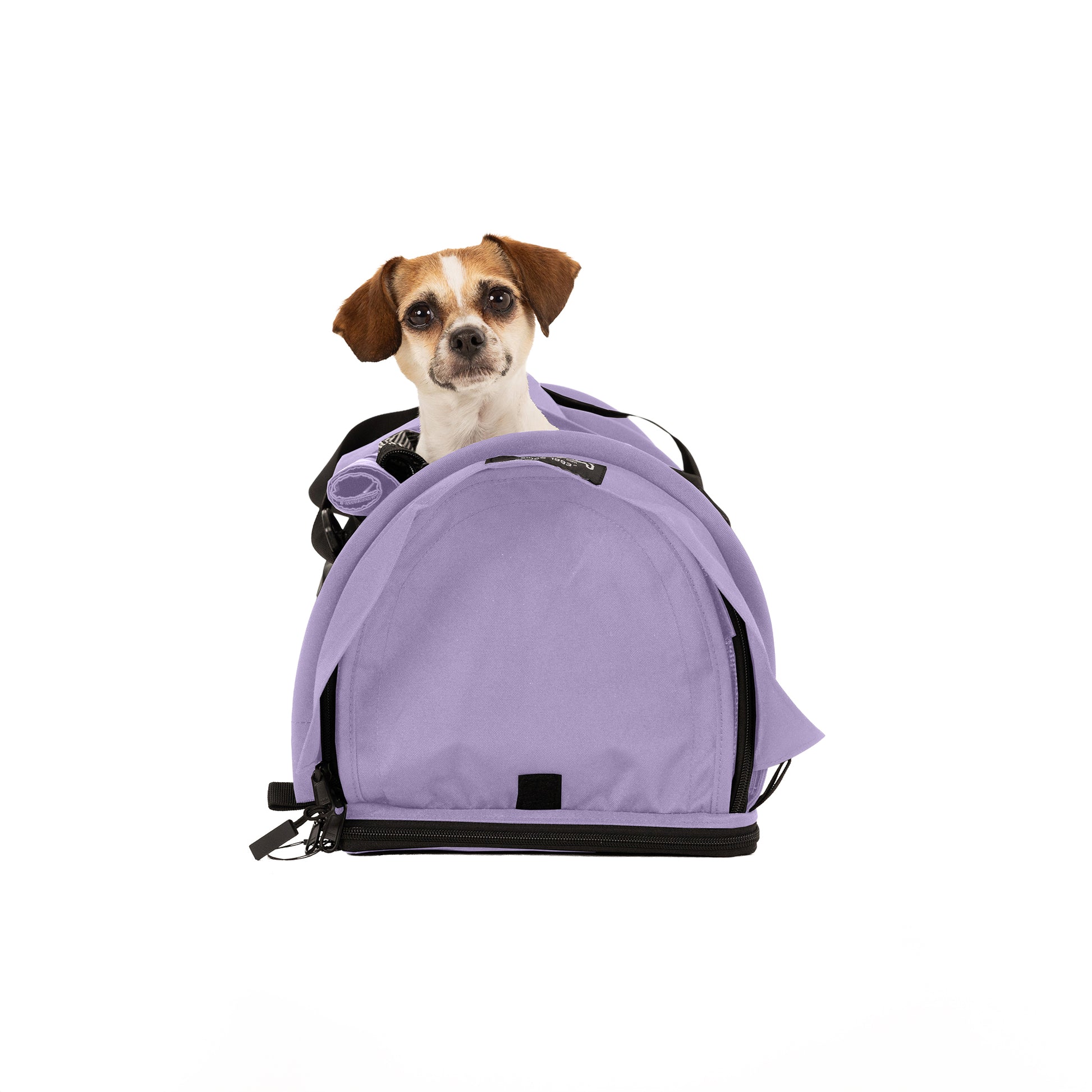 SturdiBag™ Pro 3.0-pet carrier-Sturdi Products-Sturdi Products