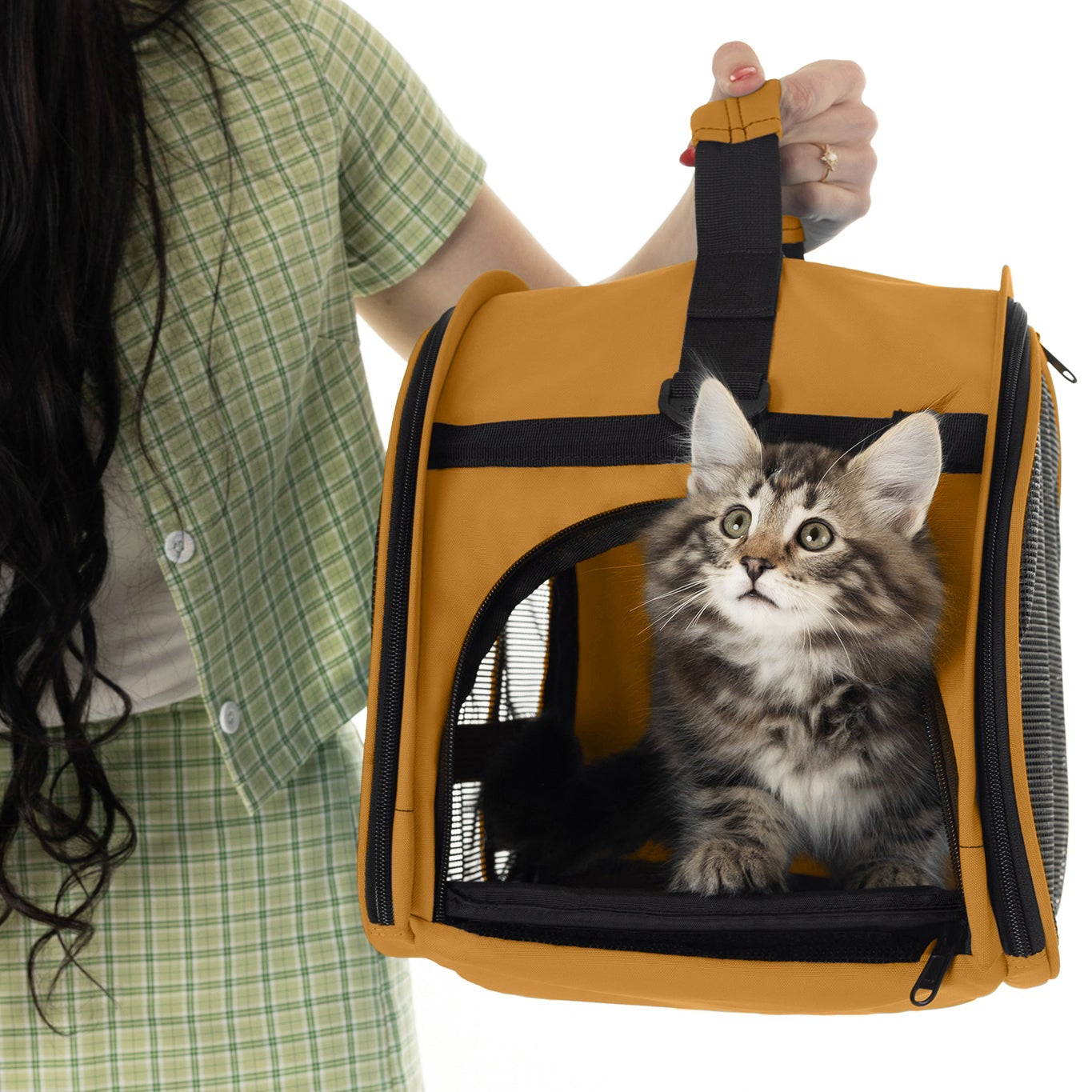 Orange compact pet carrier with mesh panels, held by a person, featuring a fluffy tabby kitten inside.
