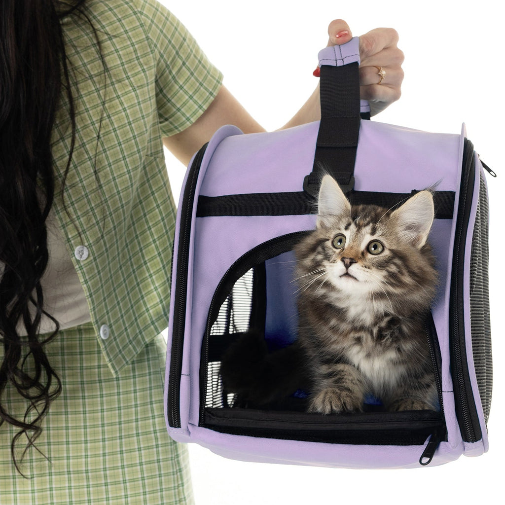 Purple compact pet carrier with a kitten inside, held by a person in a green plaid outfit.