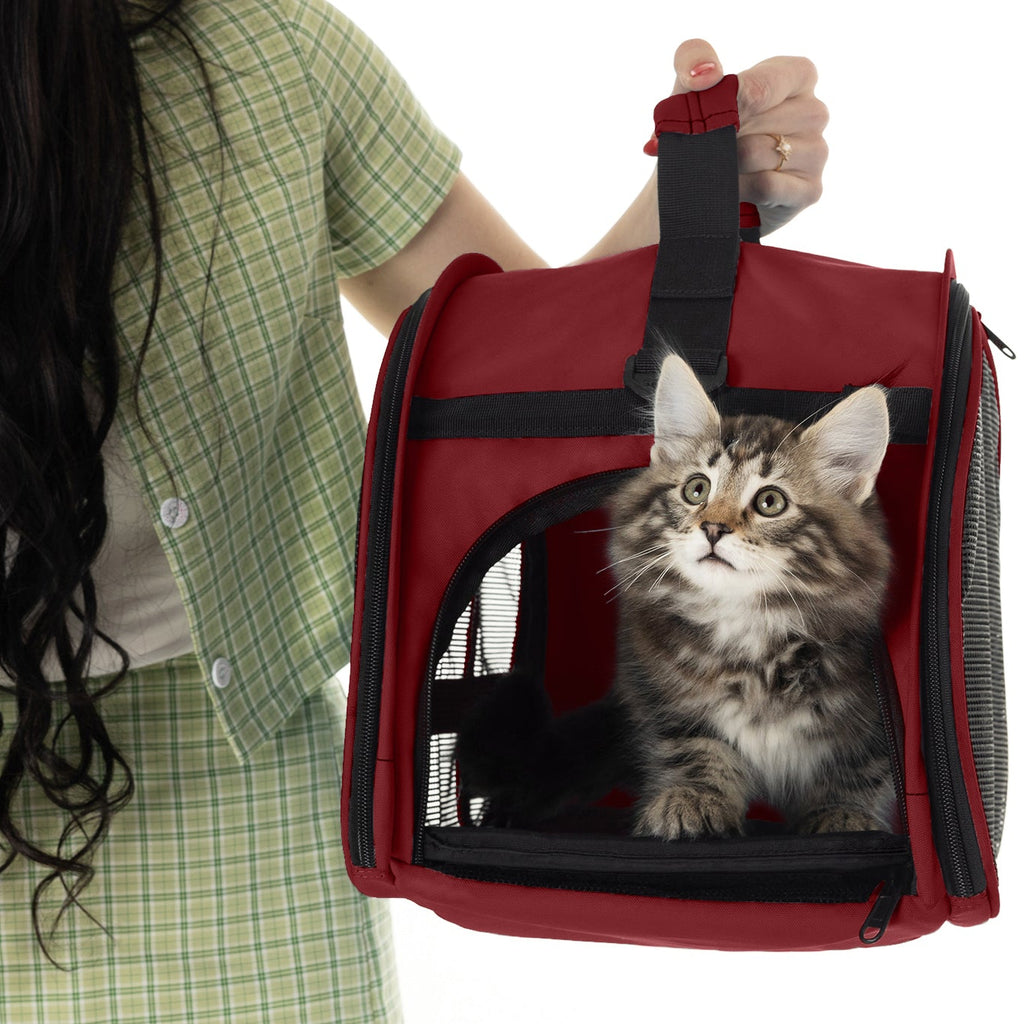 Person holding a red compact travel pet carrier with a tabby kitten looking out.
